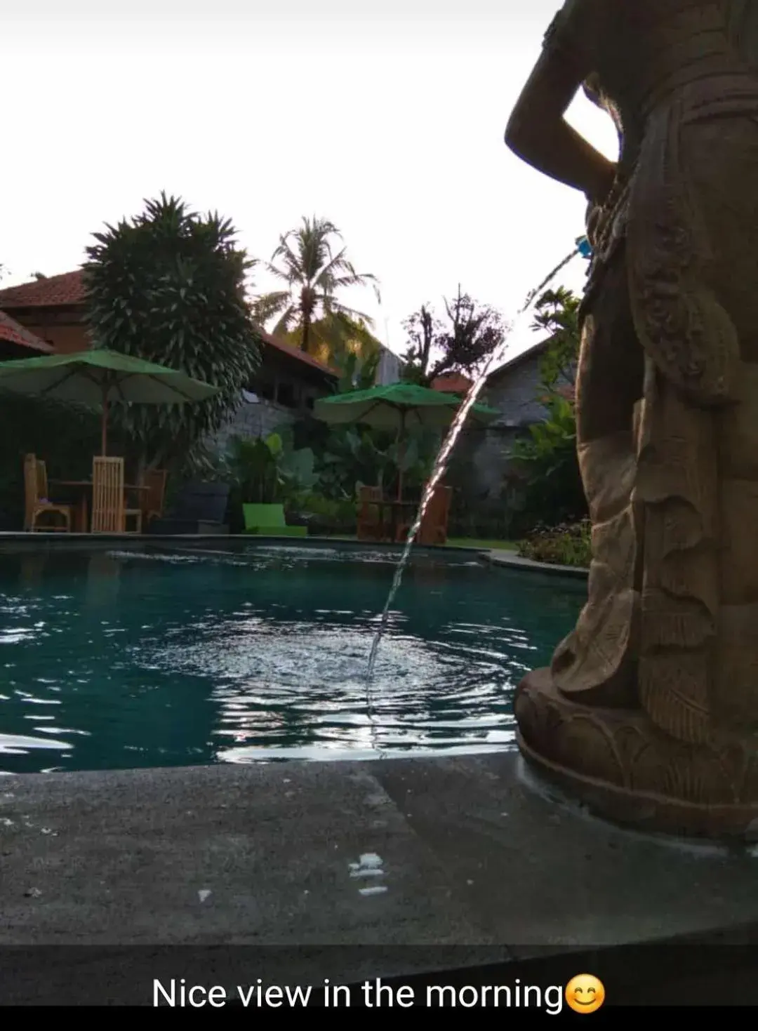 Swimming pool in Argasoka Bungalows