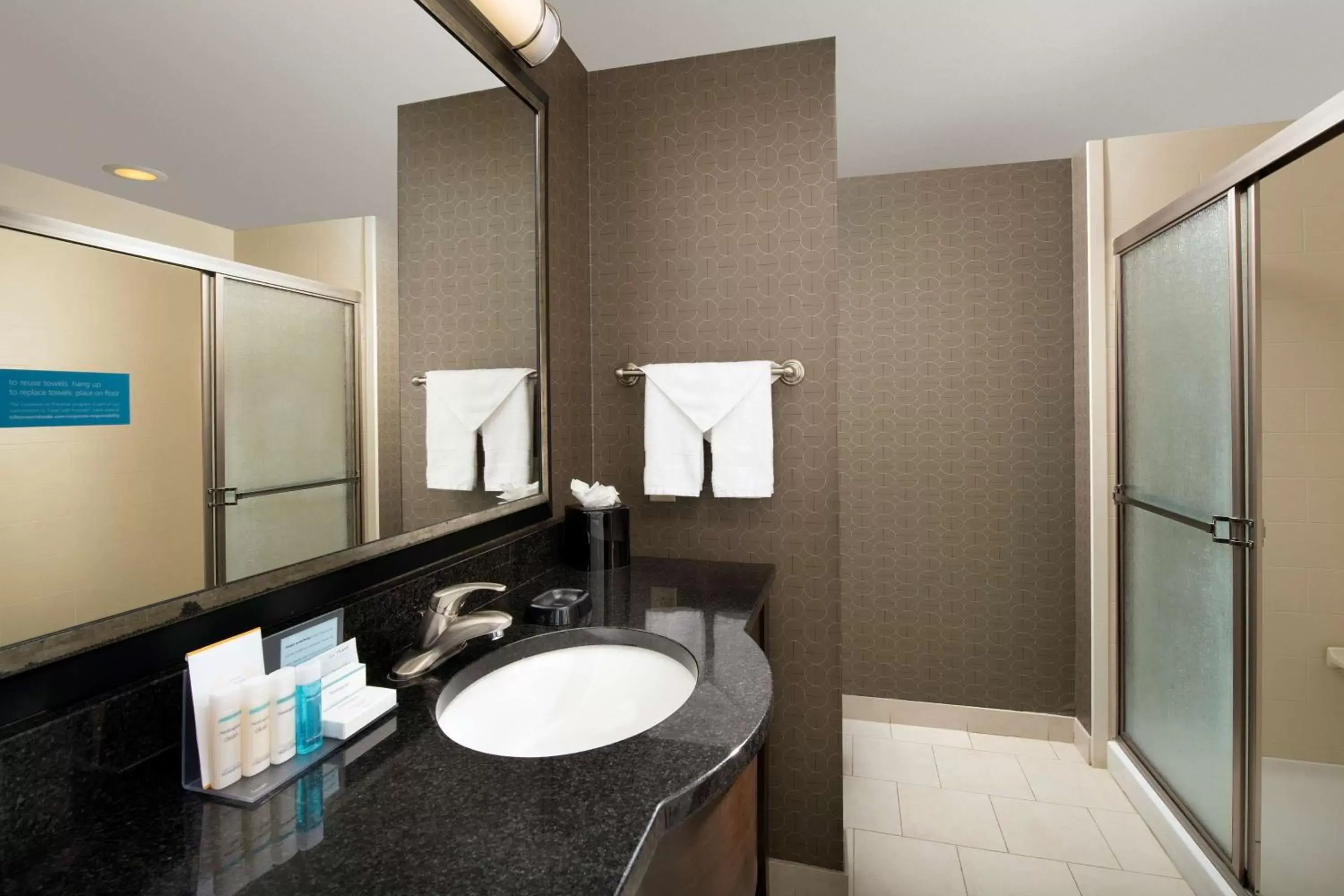 Bathroom in Hampton Inn & Suites Athens/Interstate 65