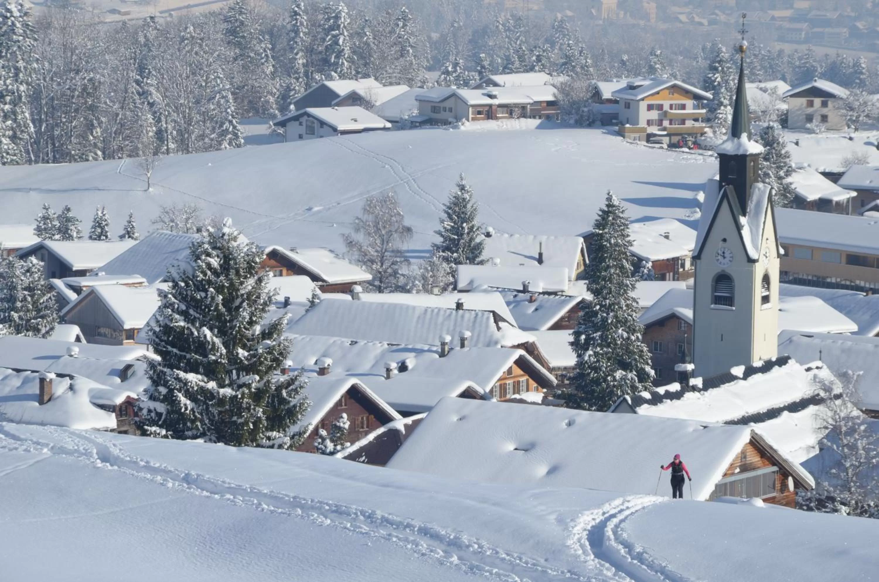 Neighbourhood in Panoramahotel Sonnhalde
