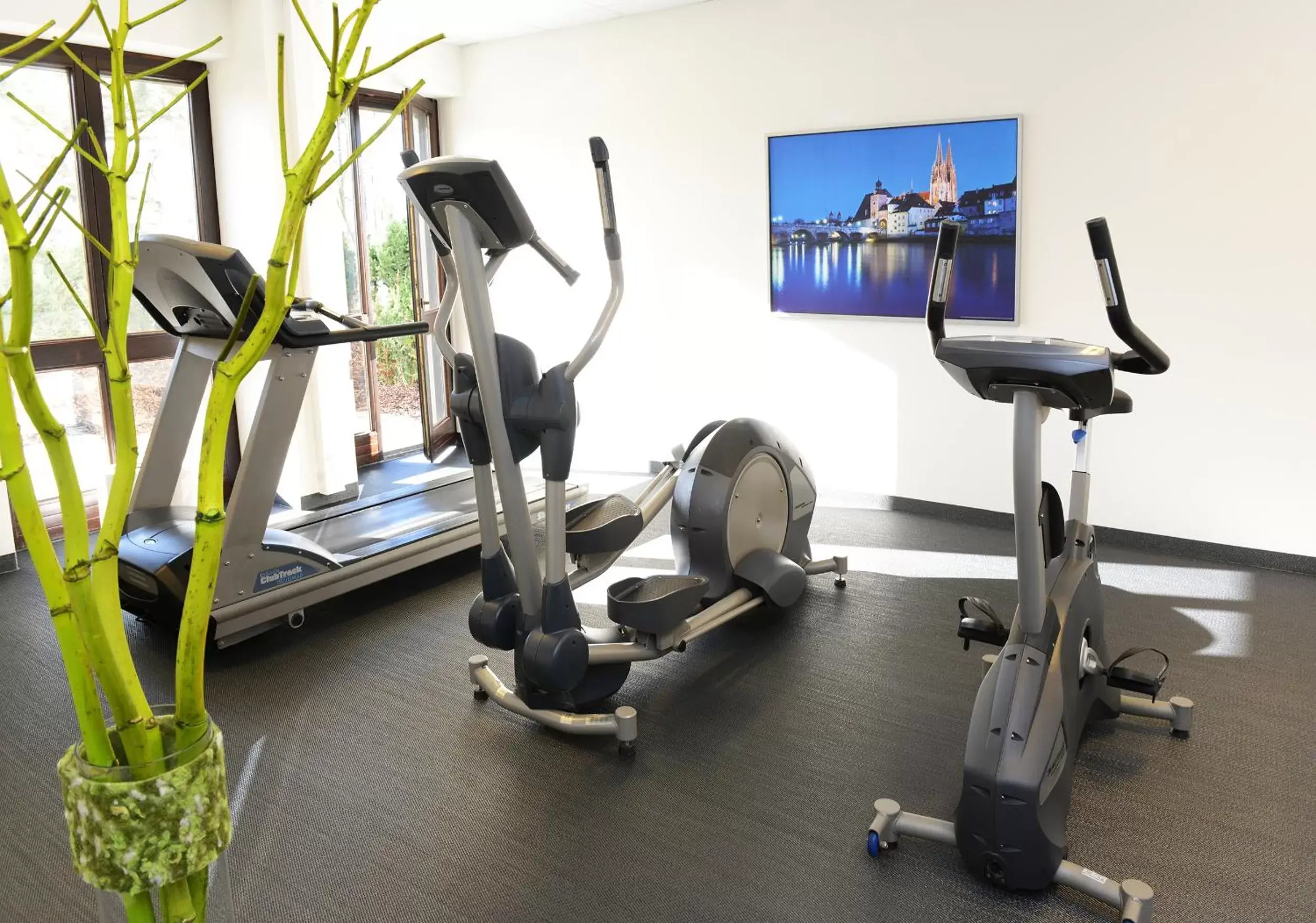 Spa and wellness centre/facilities, Fitness Center/Facilities in ACHAT Hotel Regensburg im Park
