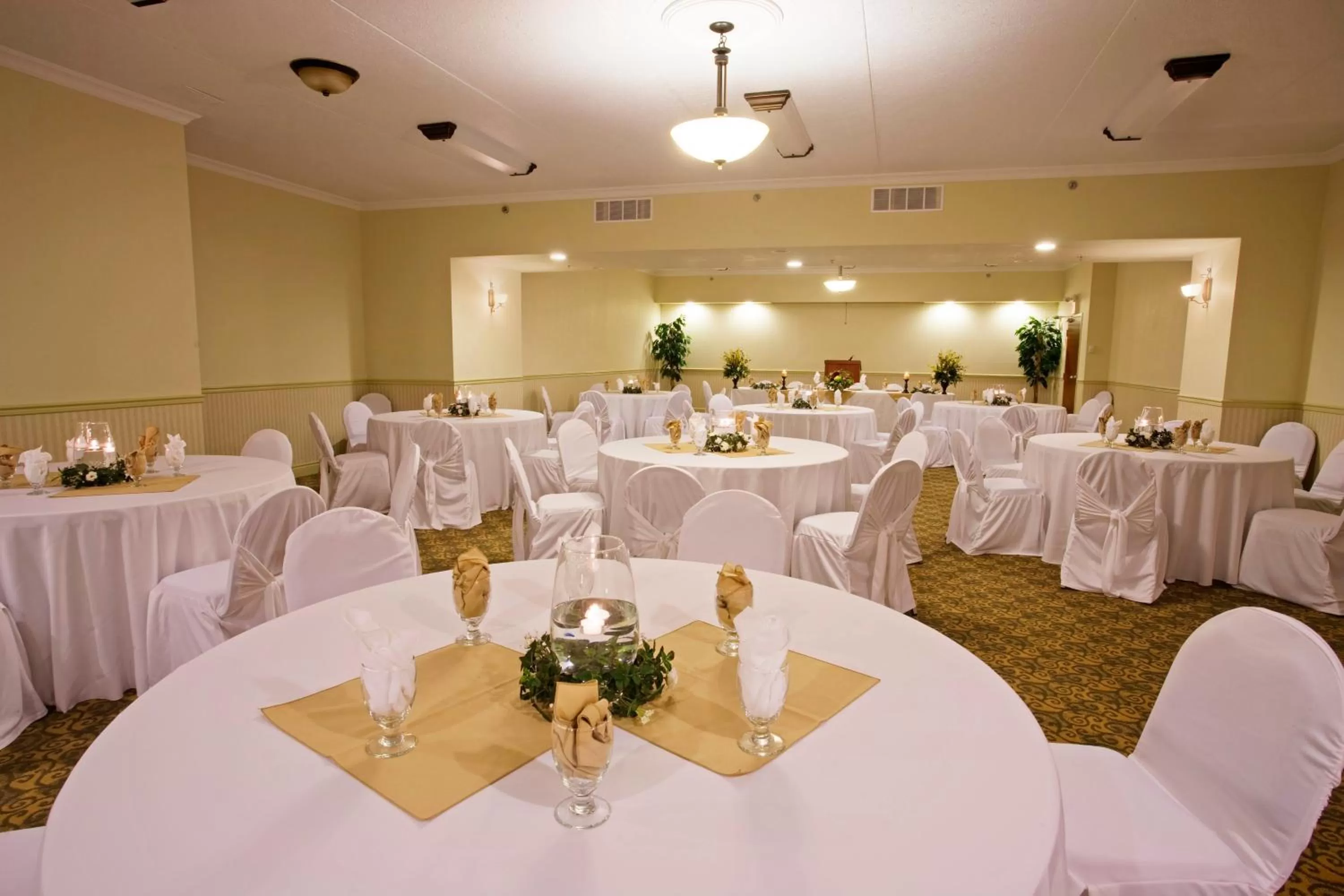 Meeting/conference room in Holiday Inn Express Hotel & Suites 1000 Islands - Gananoque by IHG