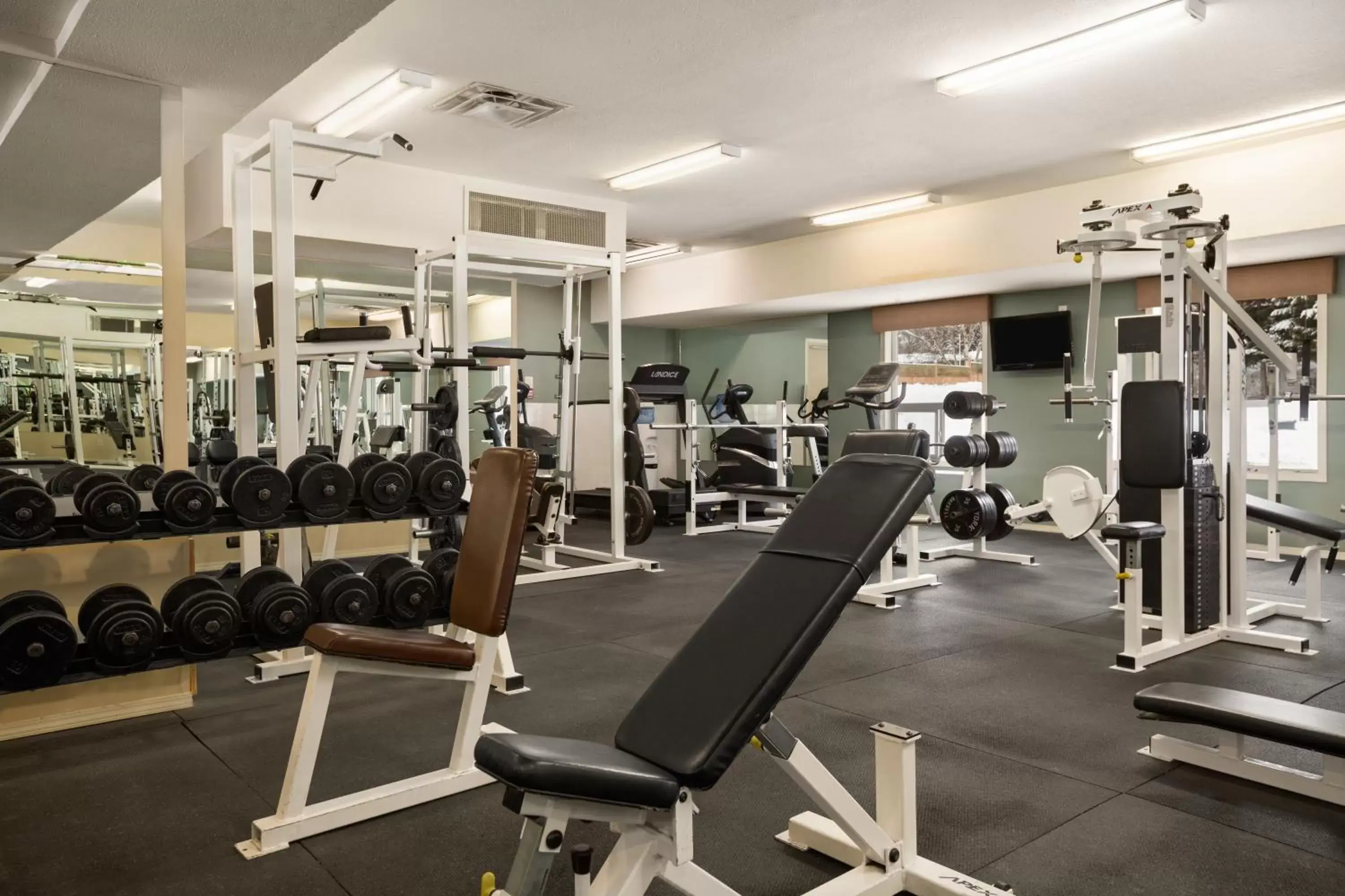 Fitness centre/facilities, Fitness Center/Facilities in Ramada Limited Golden