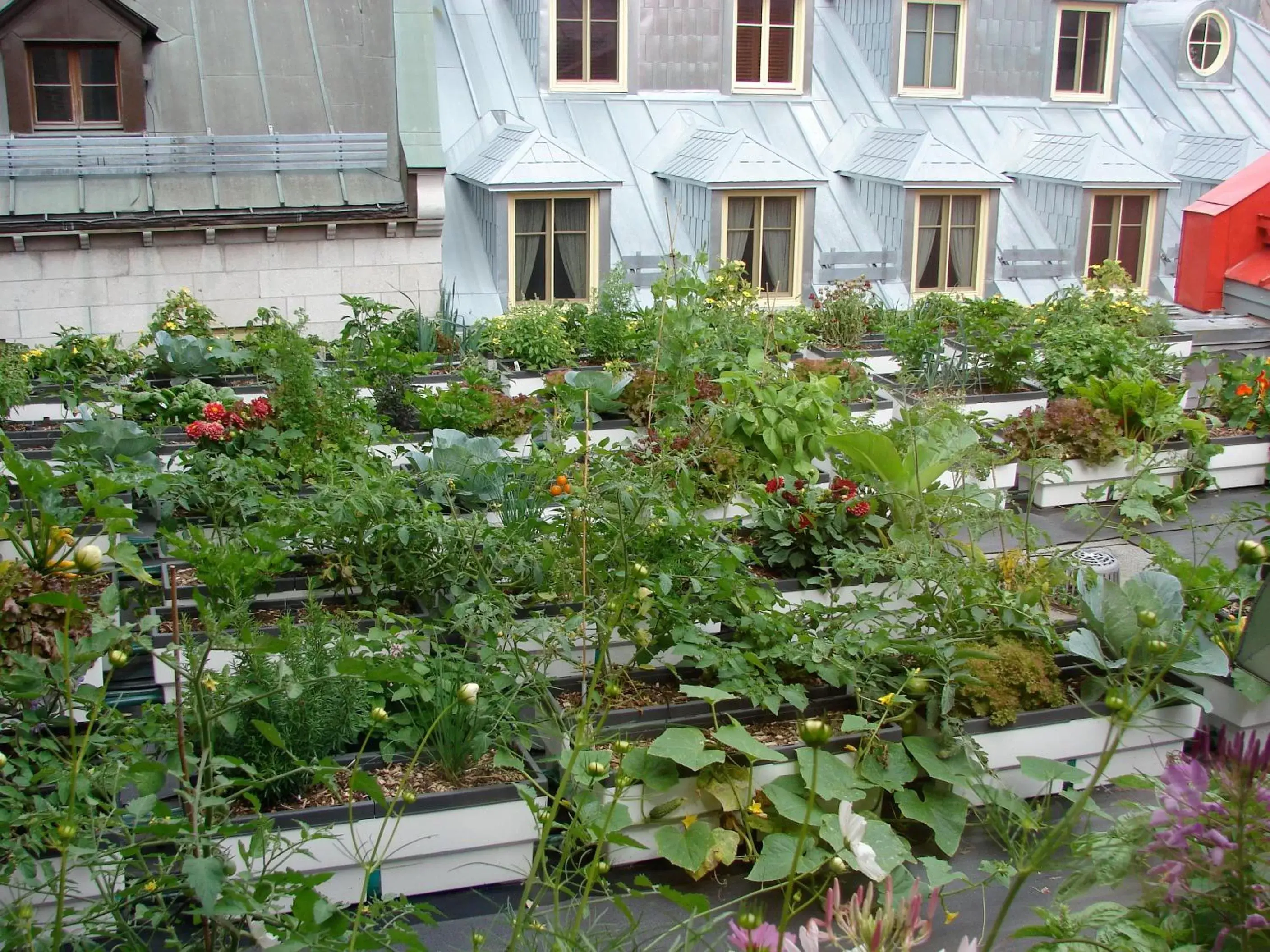 Garden, Property Building in Hotel du Vieux Quebec