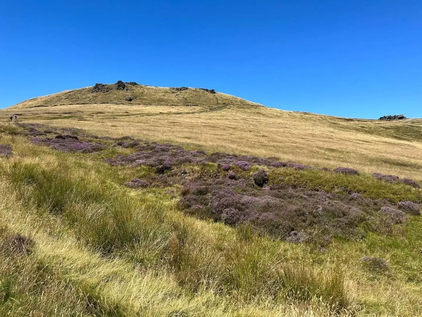 Natural Landscape in The Old Station House