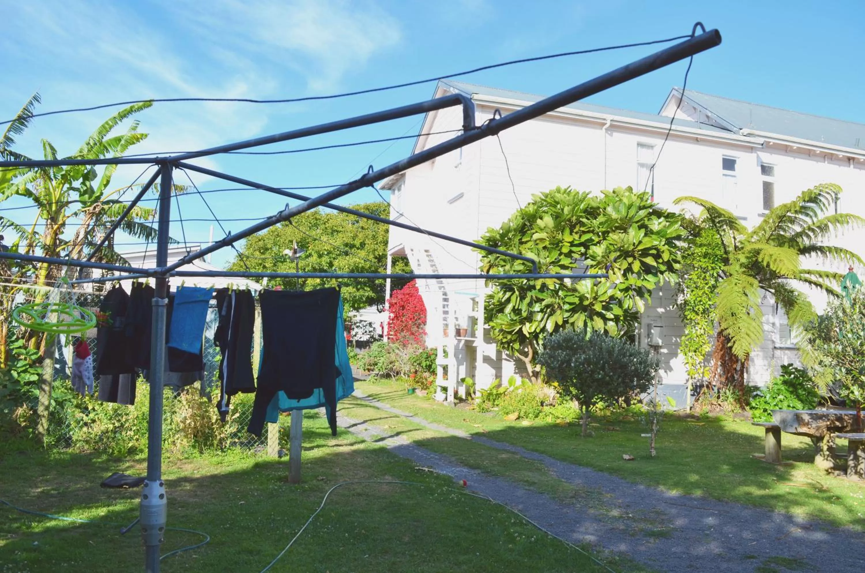 Garden in Braemar House B&B and YHA Hostel