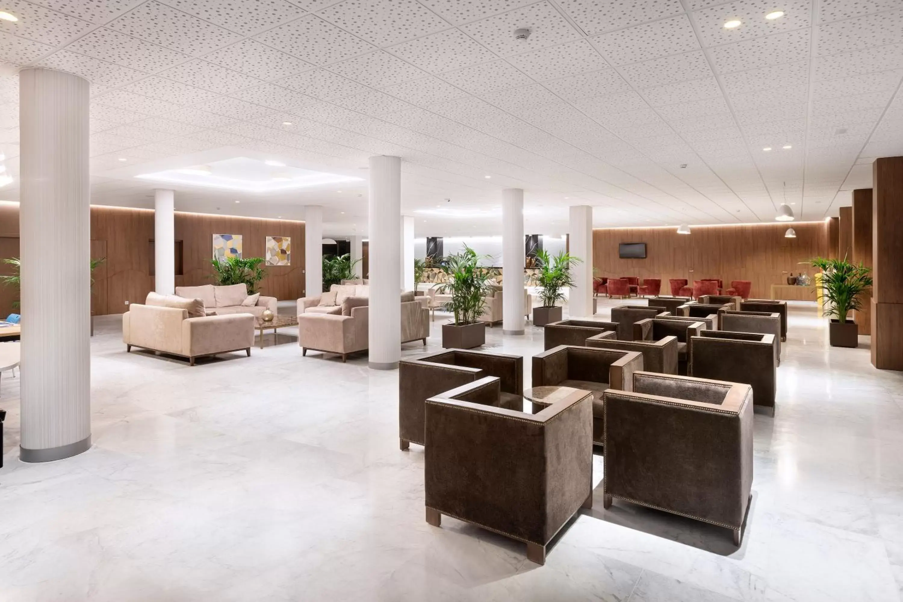 Lobby or reception in Hotel Best Semiramis