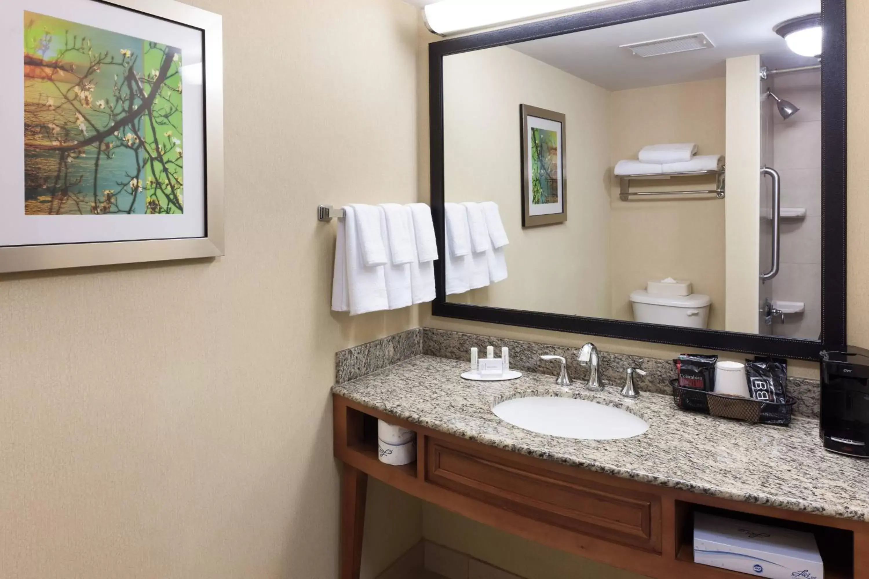 Bathroom in Fairfield Inn & Suites Jacksonville Butler Boulevard