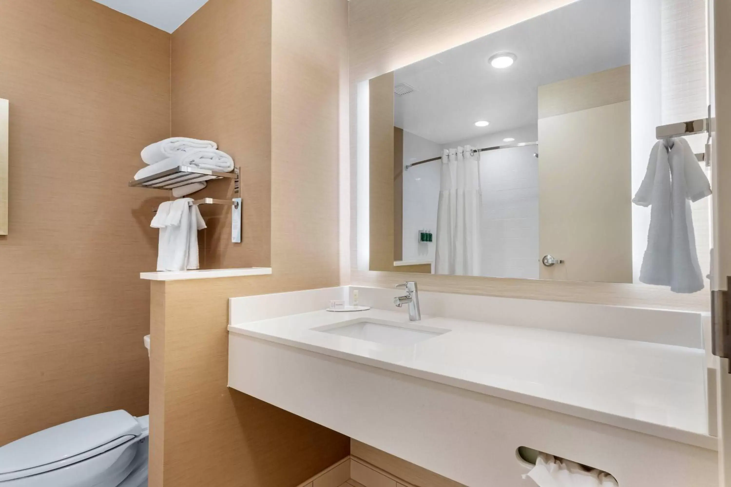 Bathroom in Fairfield Inn & Suites by Marriott Mebane