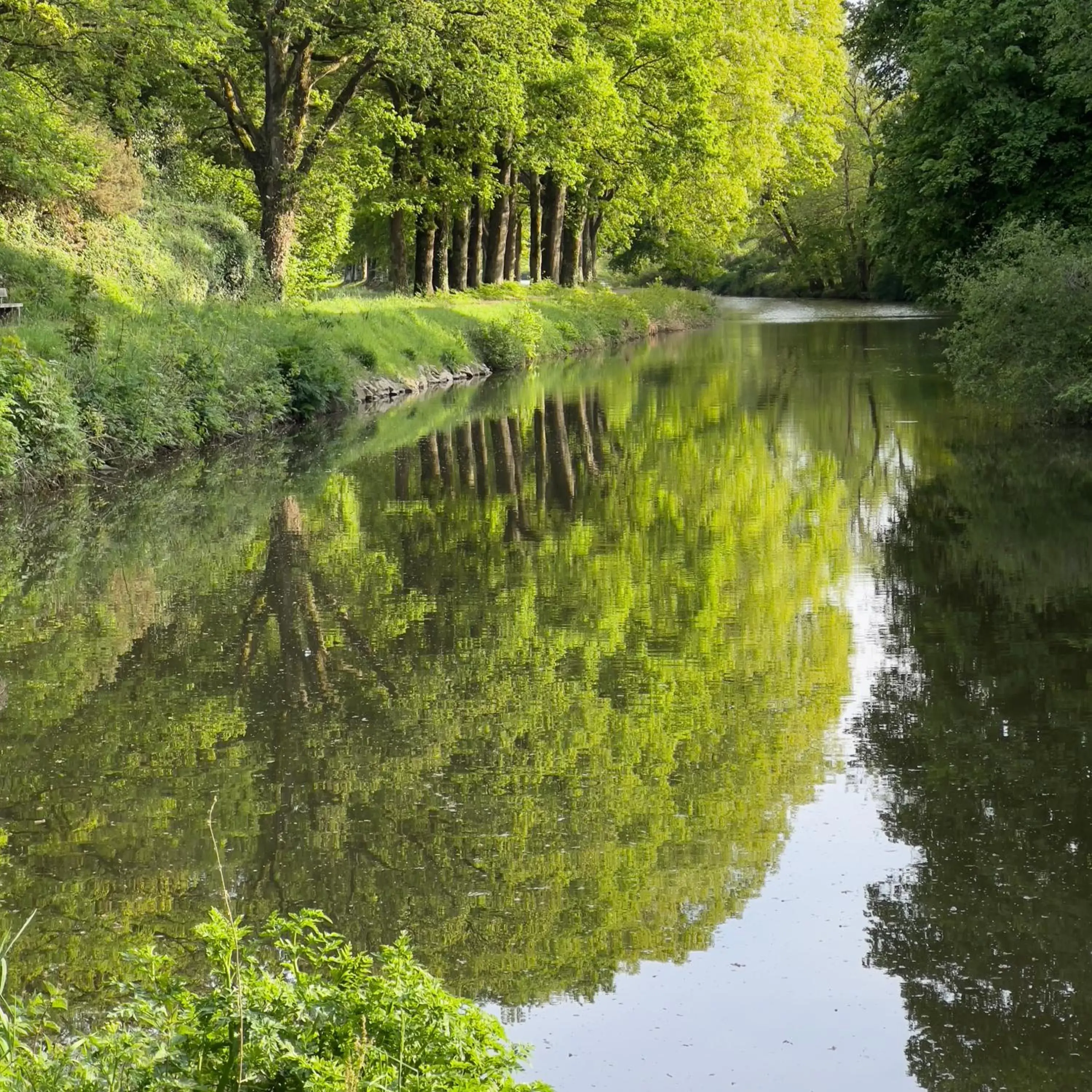 Natural landscape in Central Brittany B and B