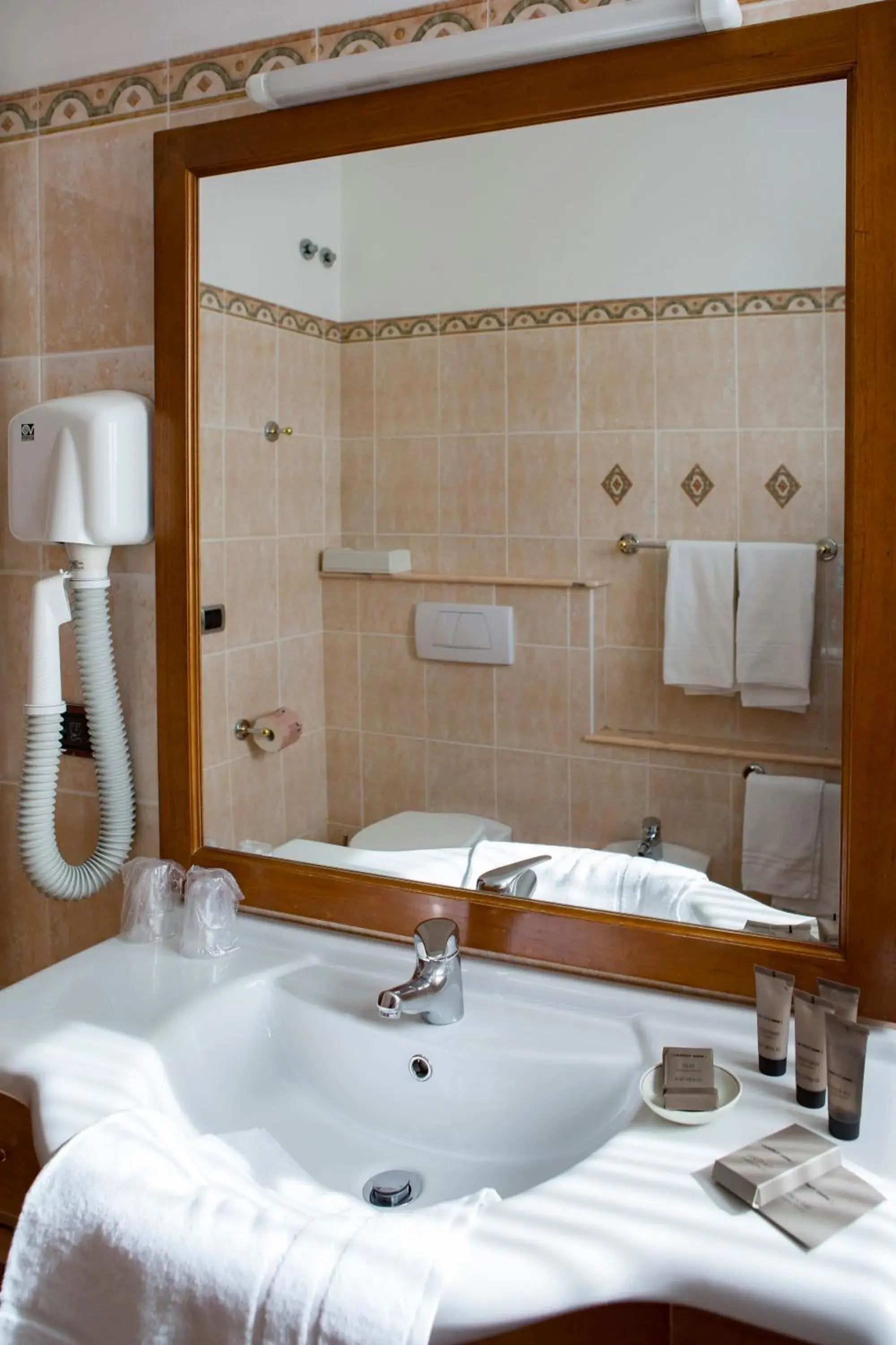 Day, Bathroom in Hotel Villa Venezia