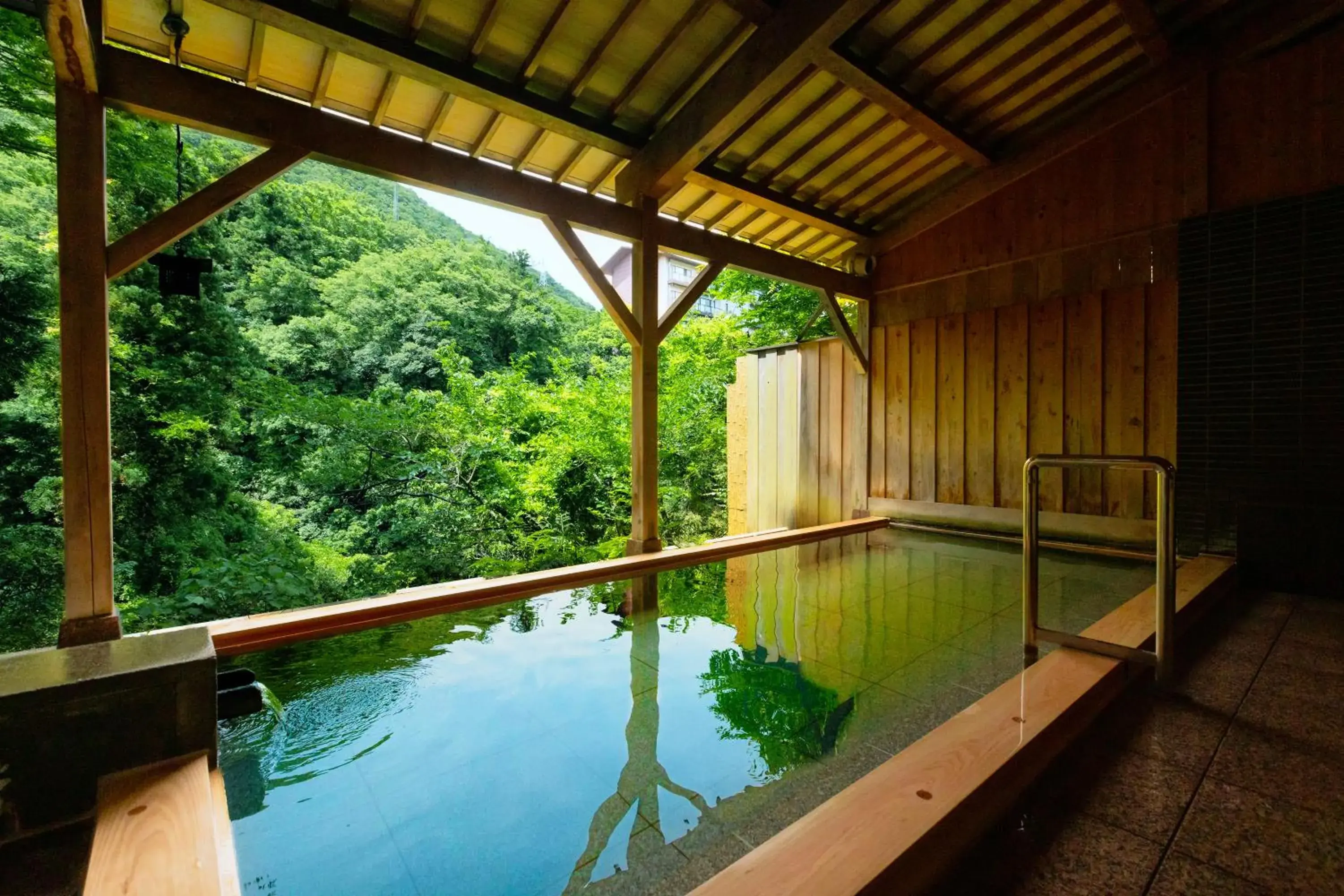 Hot Spring Bath, Swimming Pool in Ohanami Kyubei