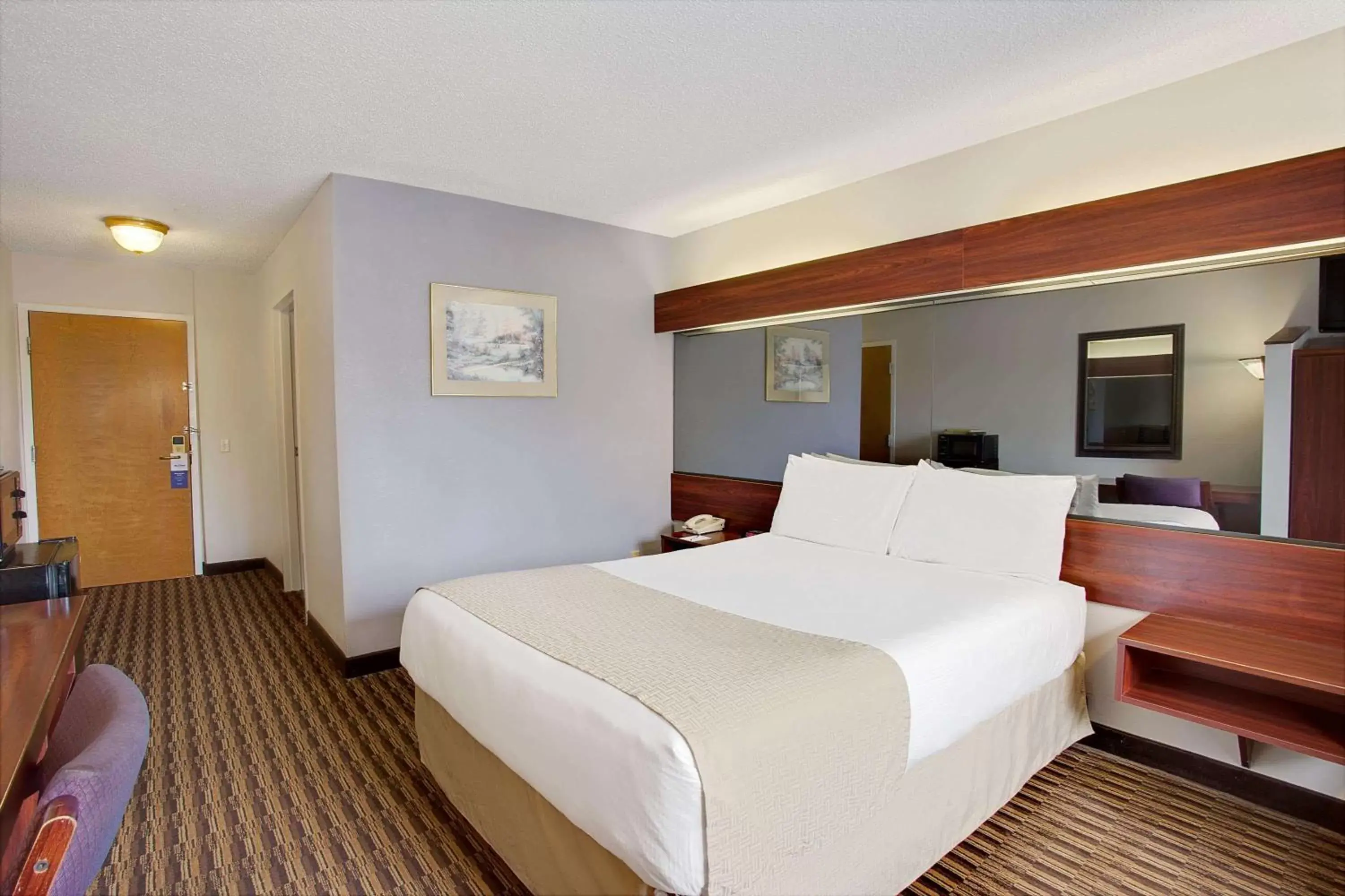 Photo of the whole room, Bed in Microtel Inn by Wyndham - Murfreesboro