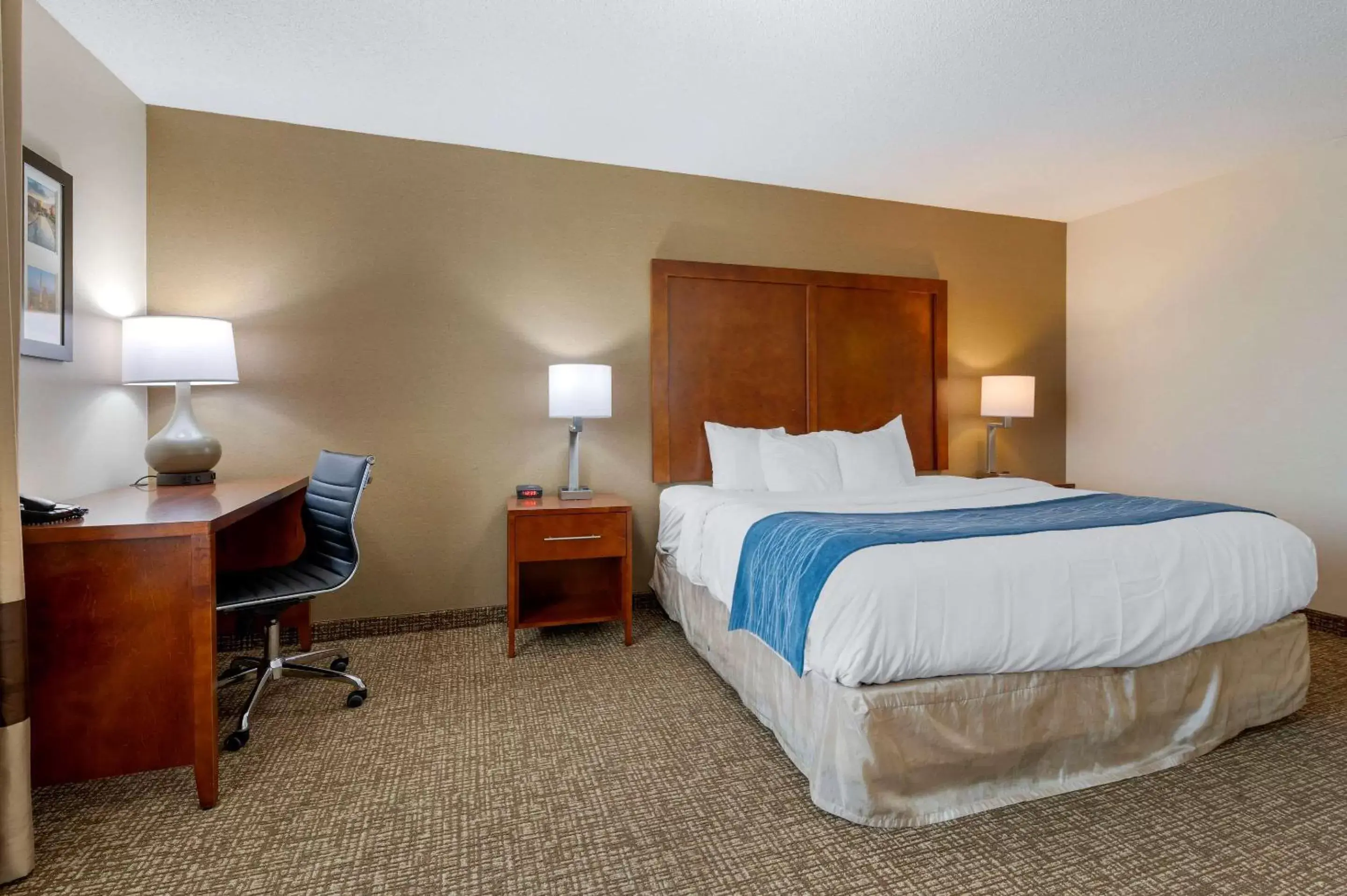 Photo of the whole room, Bed in Comfort Inn Anderson South