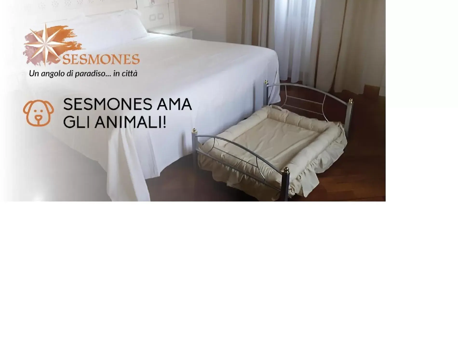 Animals in Hotel Sesmones