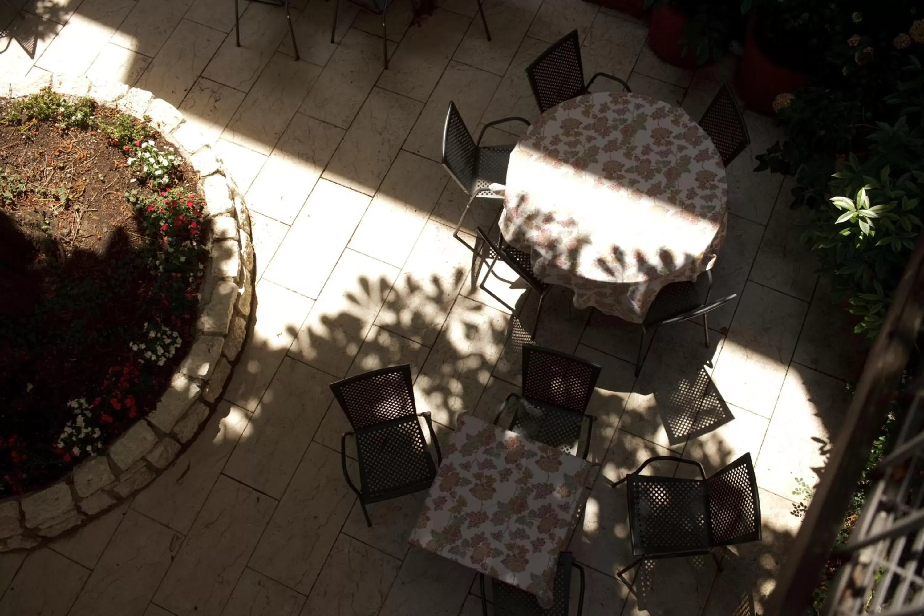 Patio, Restaurant/Places to Eat in Albergo Accademia