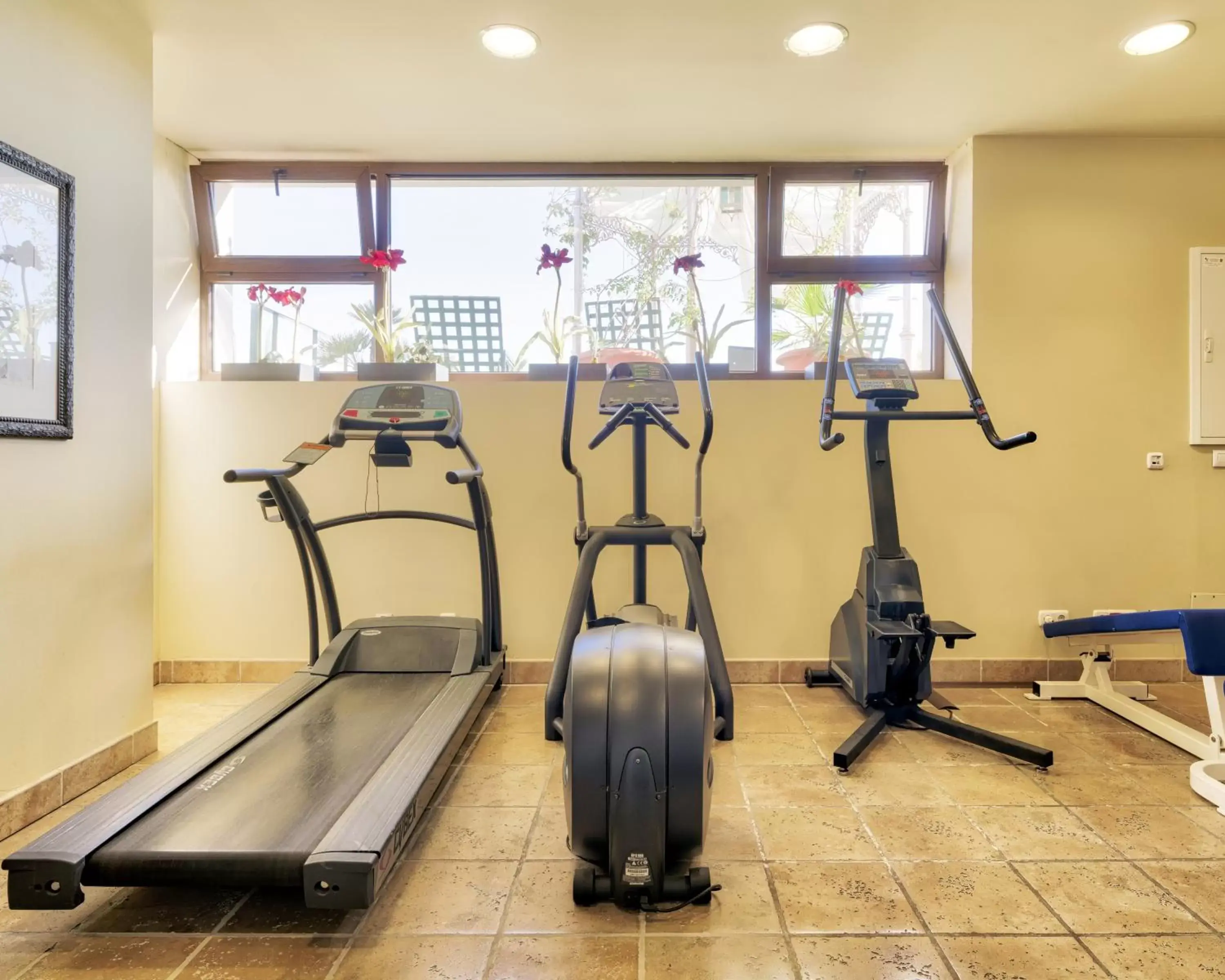 Fitness centre/facilities, Fitness Center/Facilities in Hotel Ilunion Mérida Palace