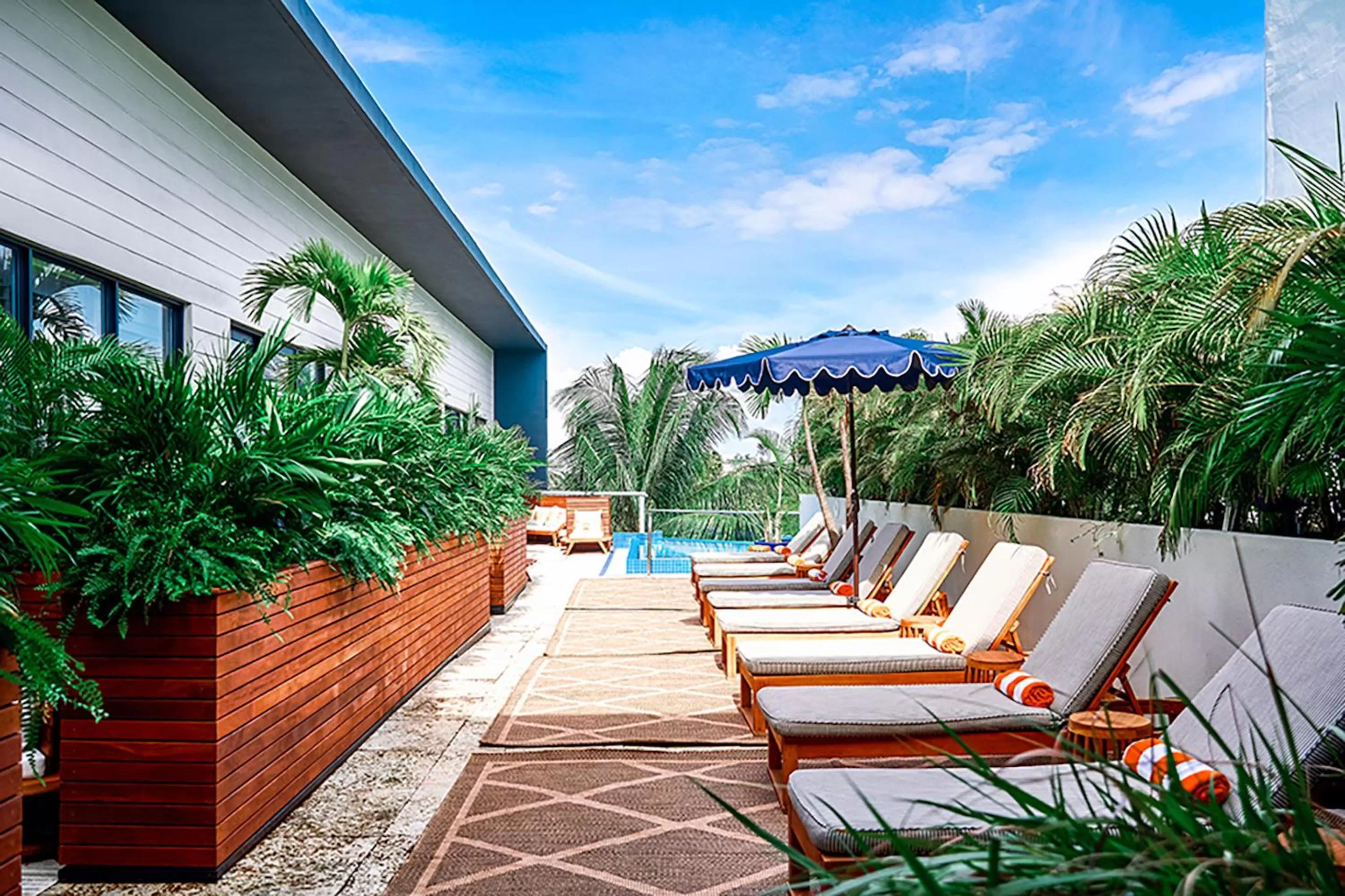 Swimming Pool in KAYAK Miami Beach