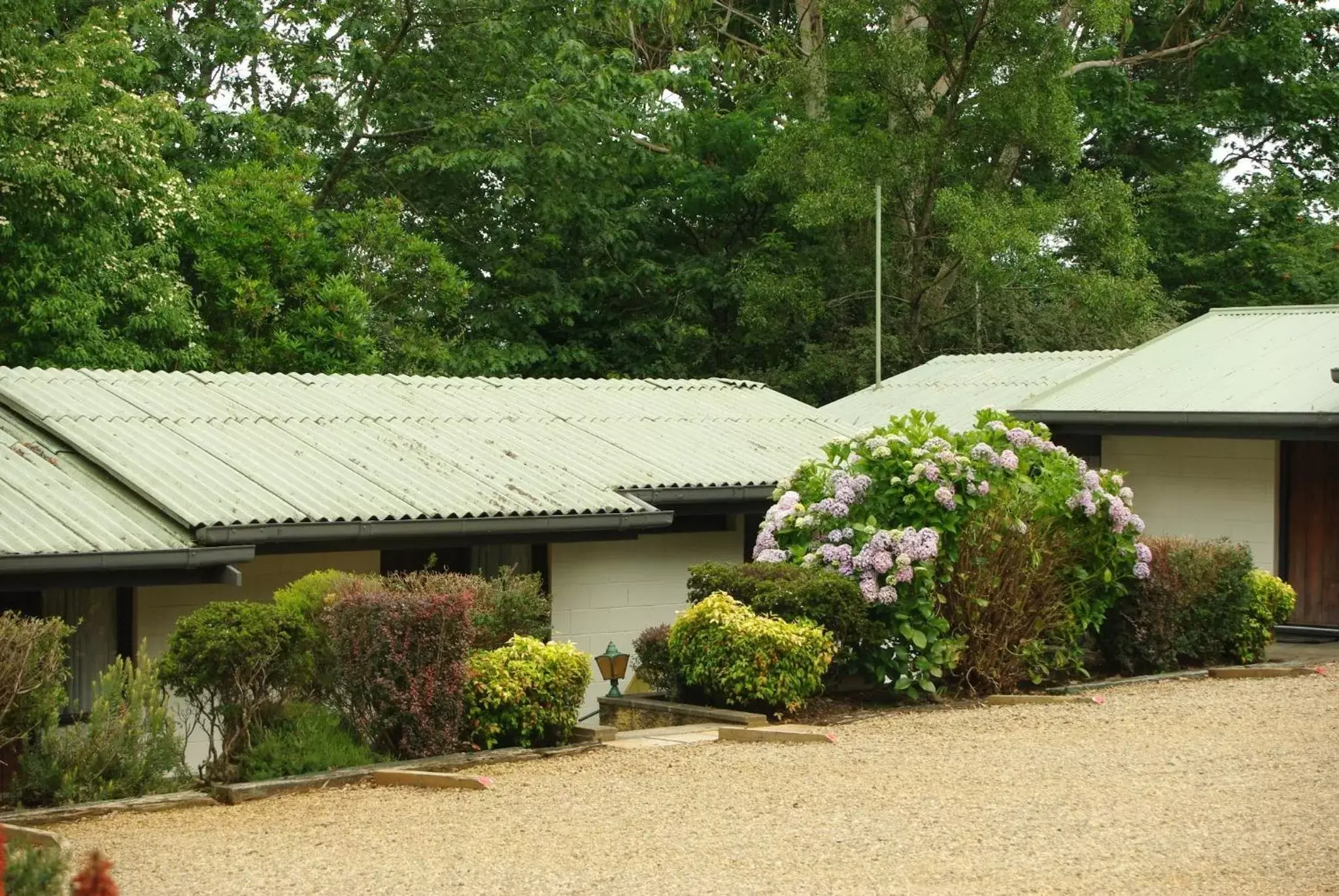 Property Building in Blackheath Motor Inn