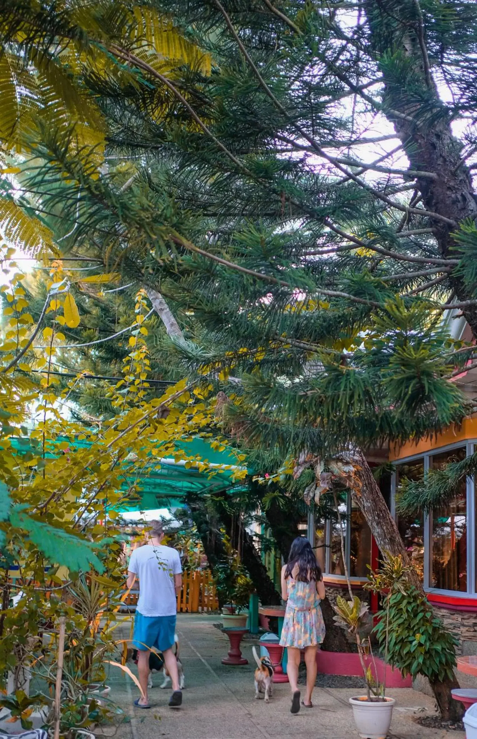 Garden in Deep Forest Garden Hotel