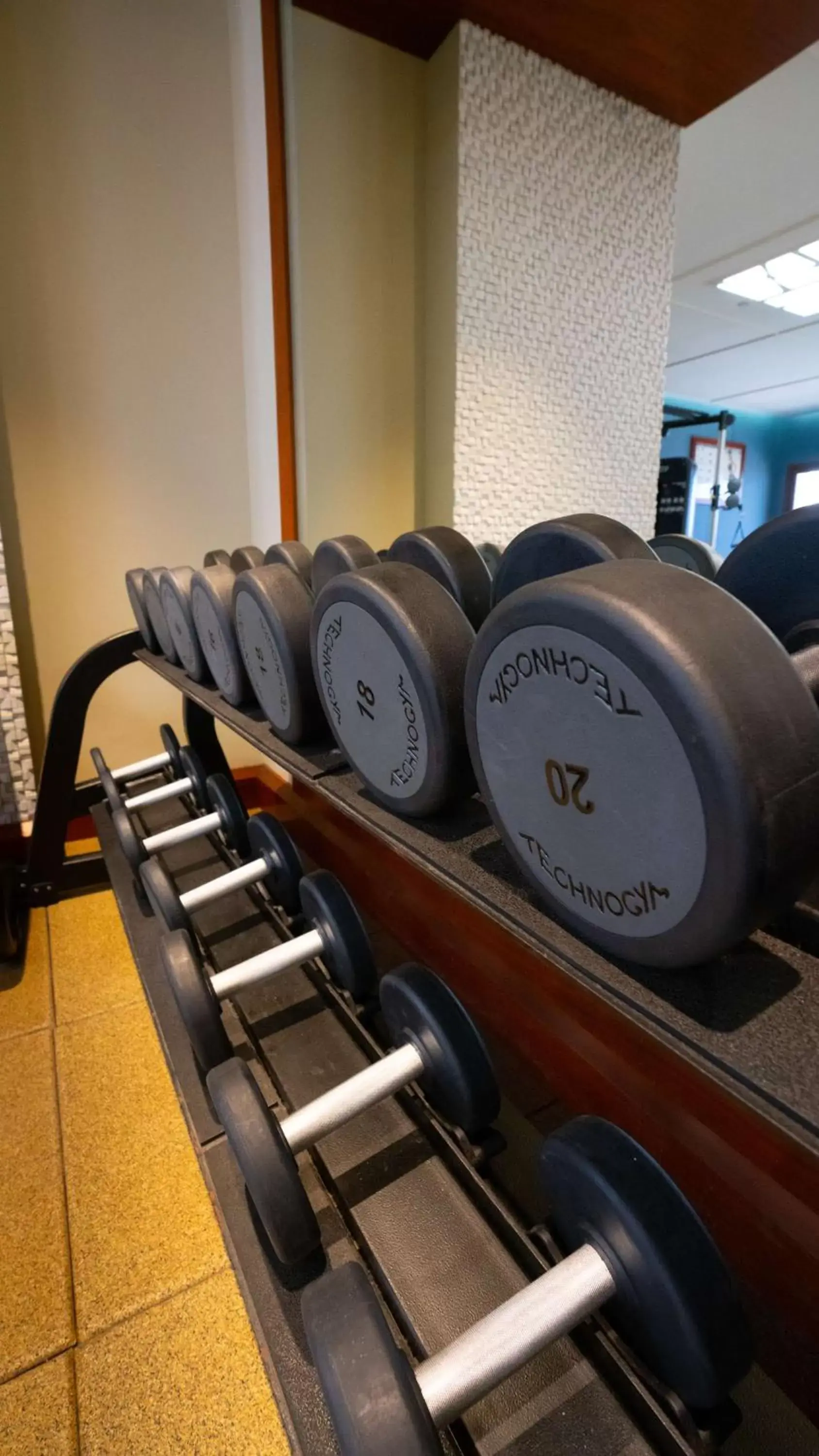 Fitness centre/facilities, Fitness Center/Facilities in DoubleTree by Hilton Resort & Spa Marjan Island