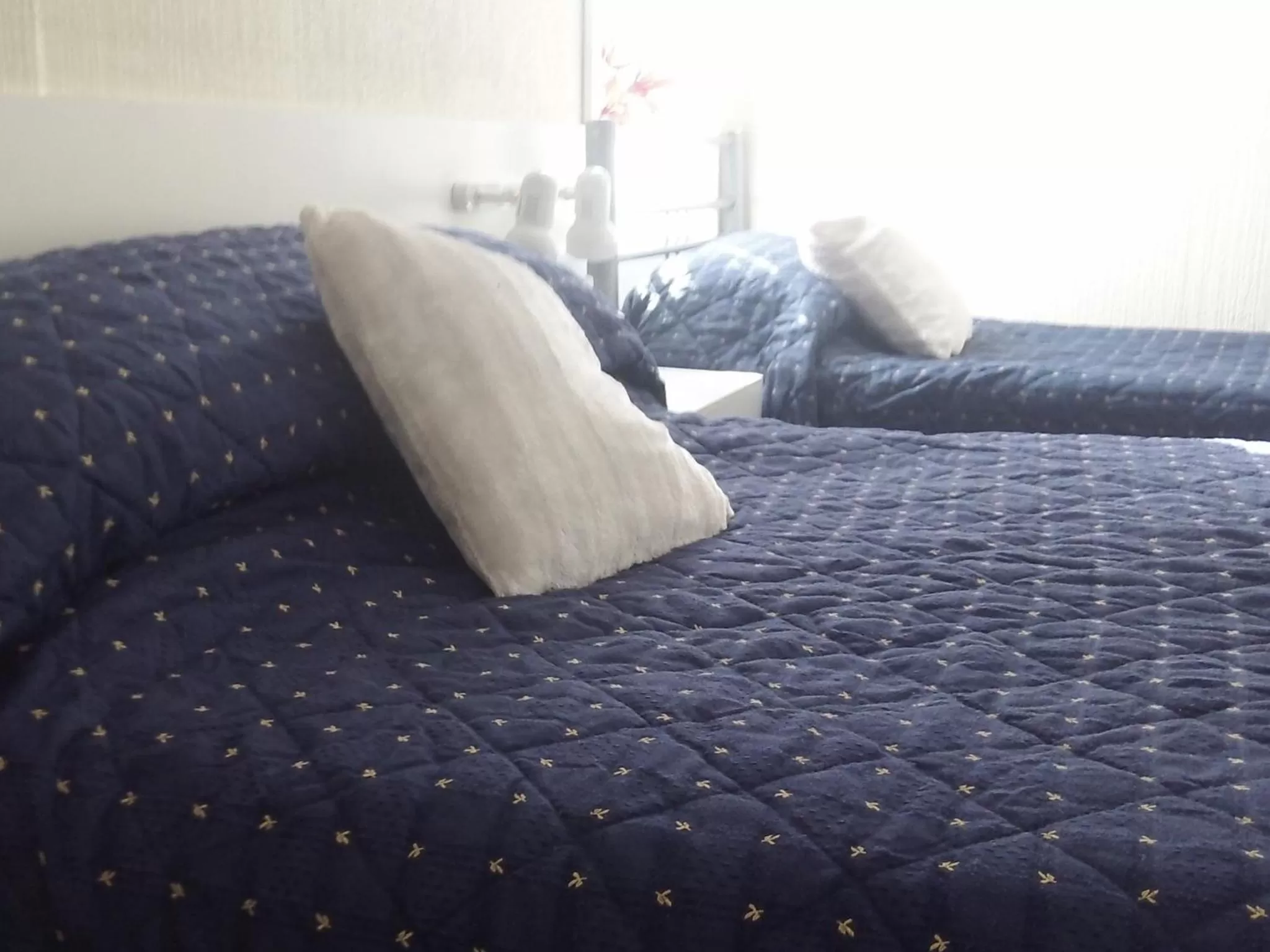 Bed in Ivydene Guest House