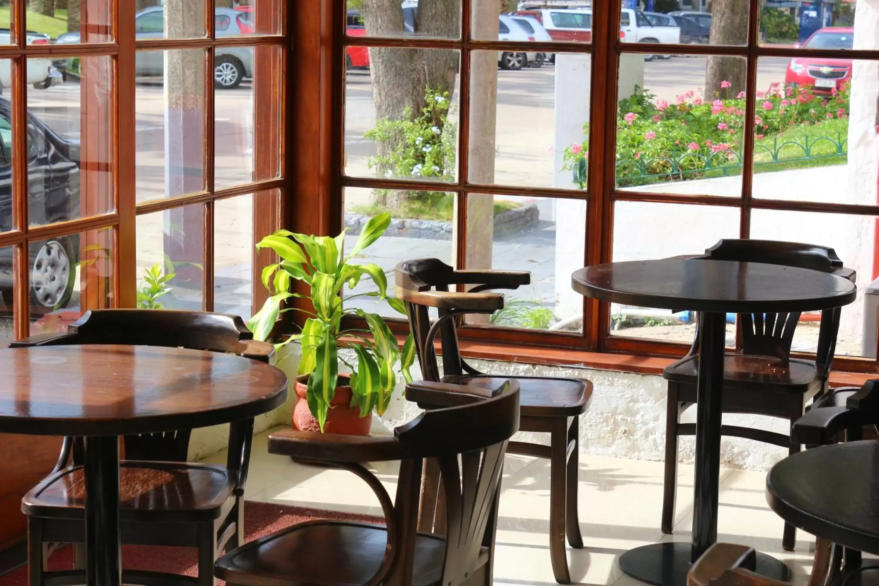 Lounge or bar in Hotel San Martin Lounge or bar in Hotel San Martin