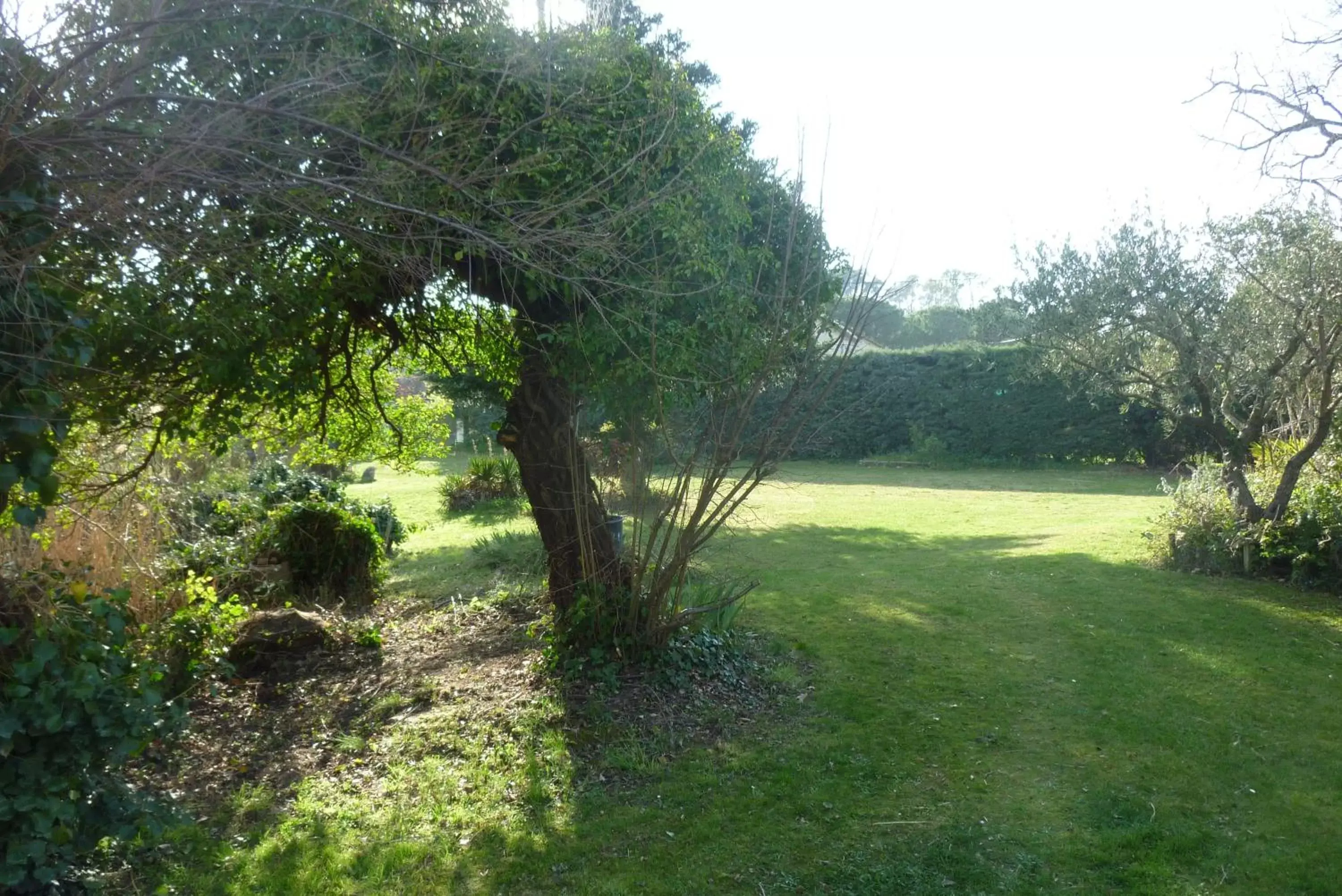 Garden in Le Fer en Cèze