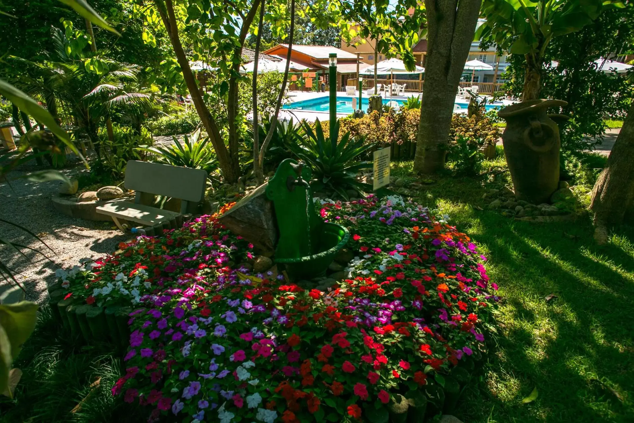 Garden in Hotel São Sebastião da Praia