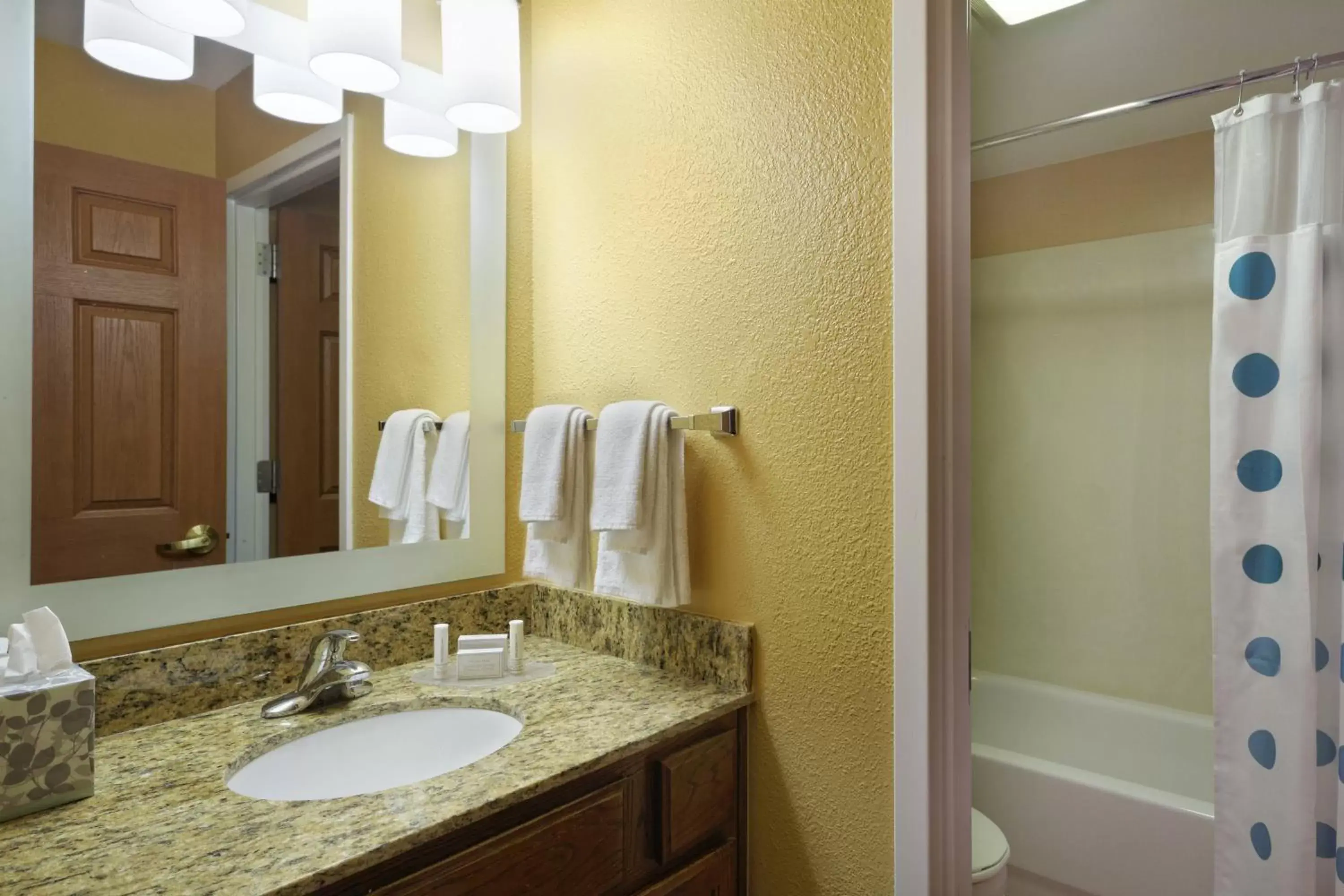 Bathroom in TownePlace Suites Tampa North I-75 Fletcher