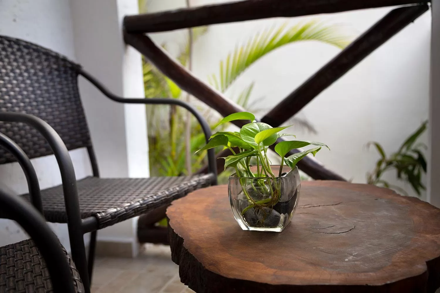 Balcony/Terrace in Hotel Amar Inn