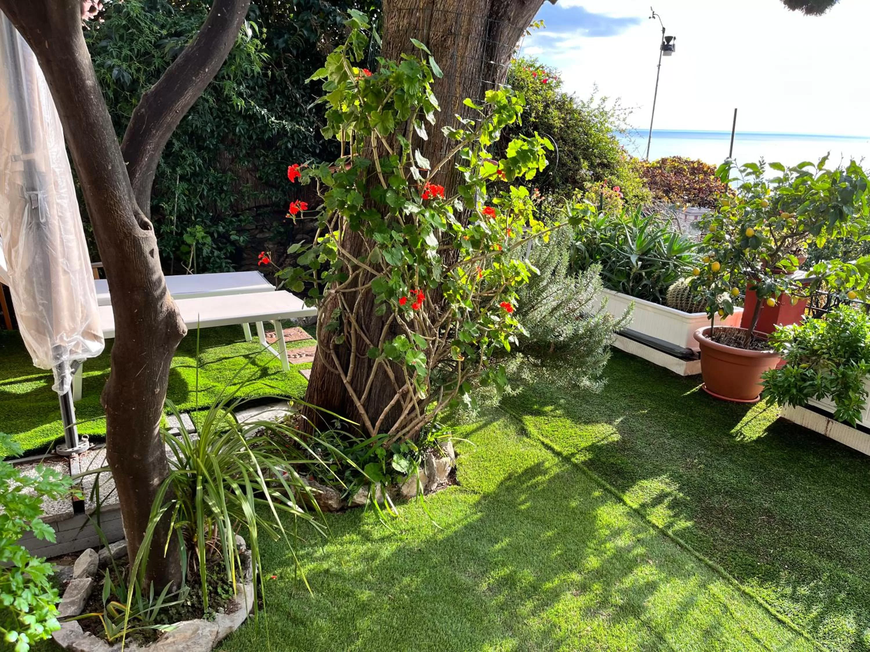 Garden in SALOTTO SUL MARE