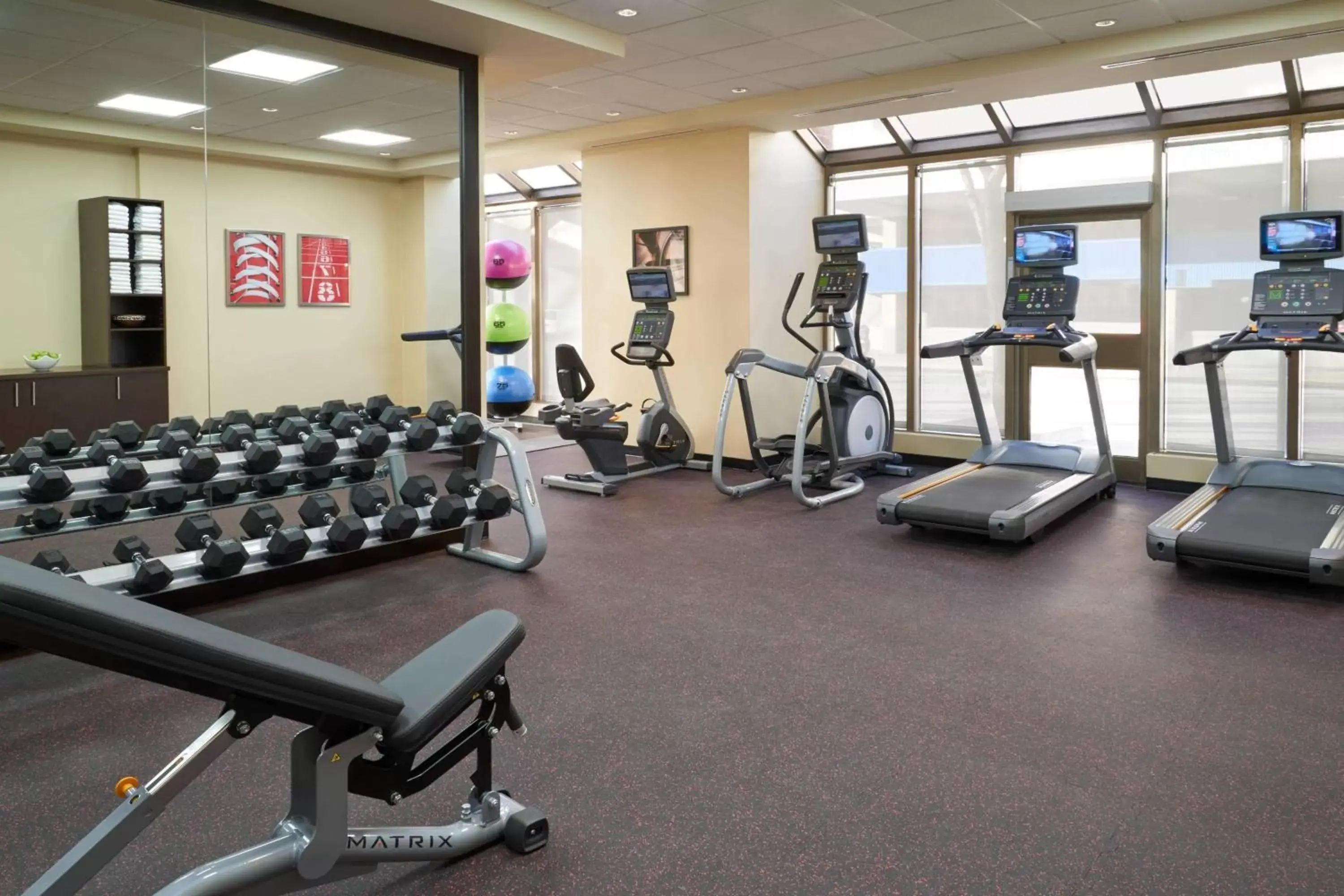 Fitness centre/facilities, Fitness Center/Facilities in TownePlace Suites by Marriott Windsor