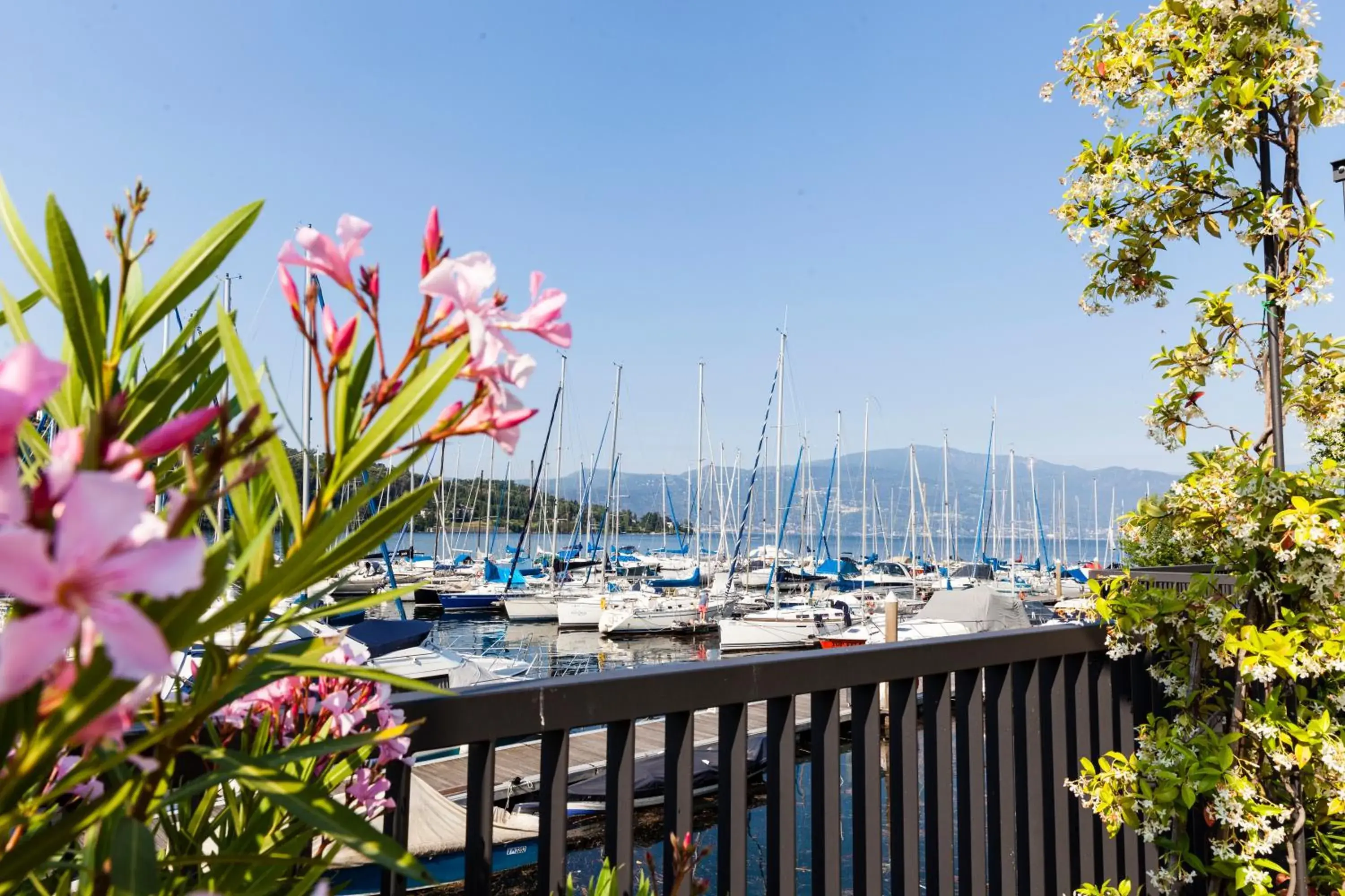 Garden in Hotel de Charme Laveno