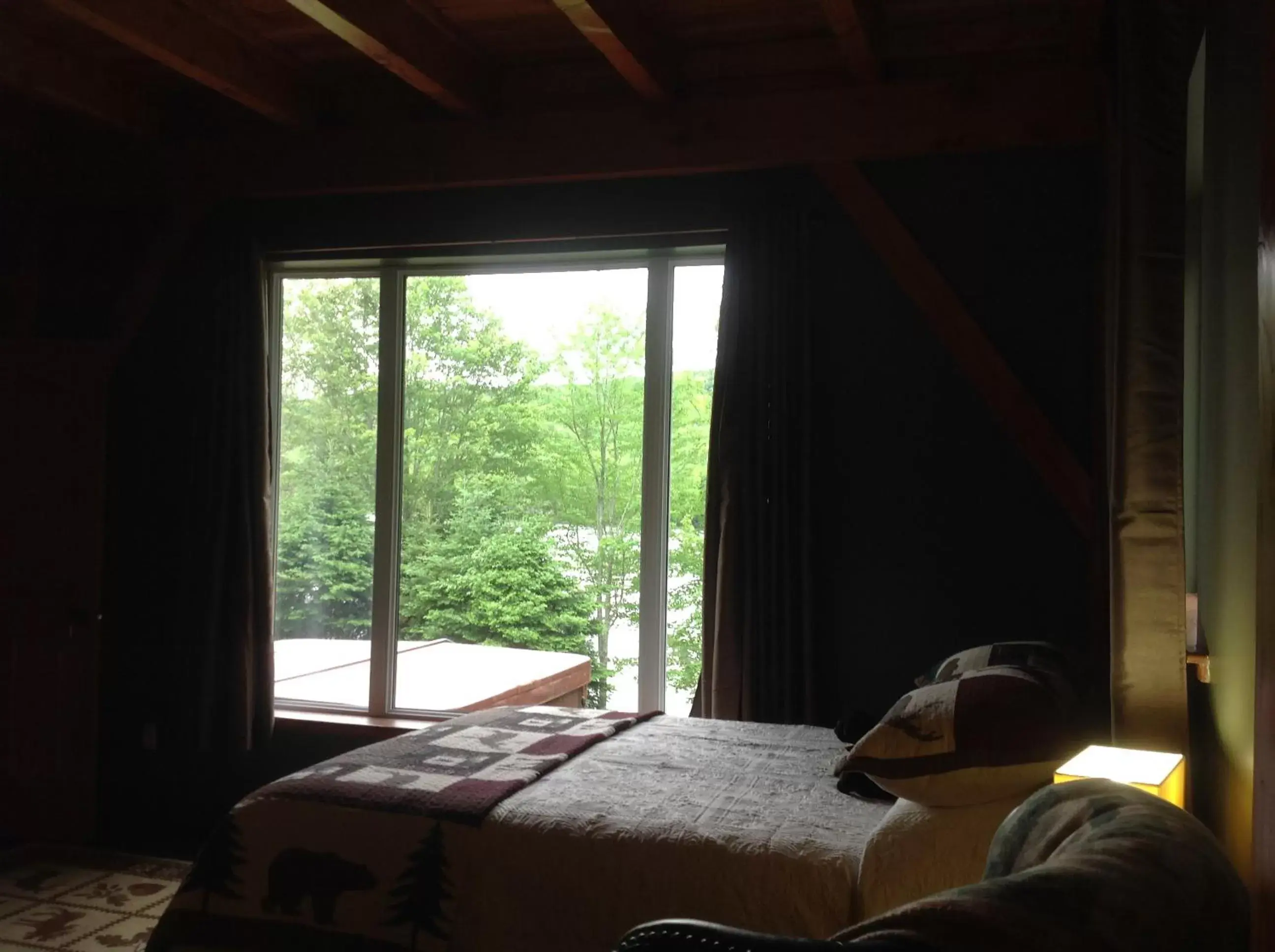 Mountain view, Bed in Strong Timbers BnB