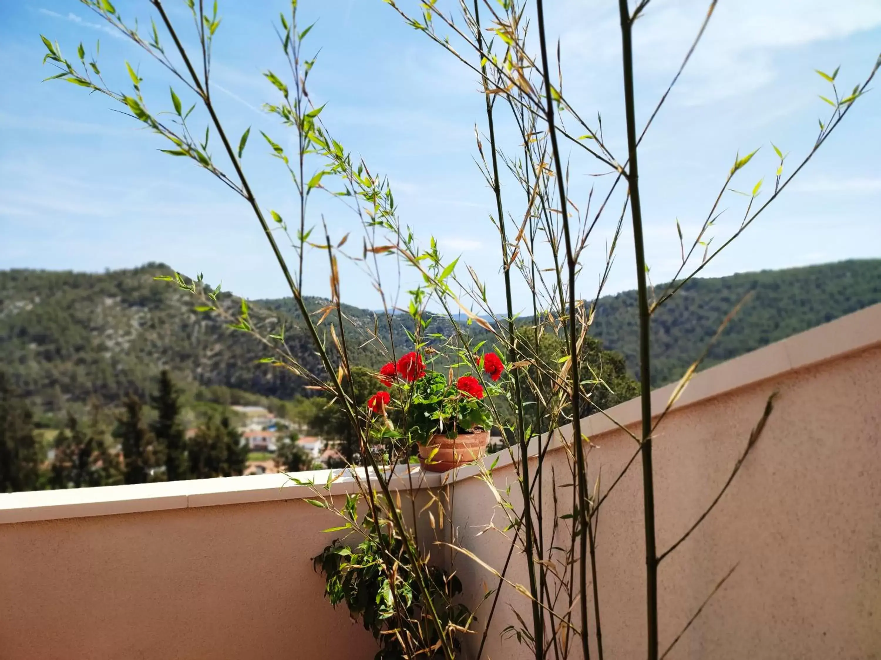 Mountain view, Balcony/Terrace in Olivella Bed&breakfast