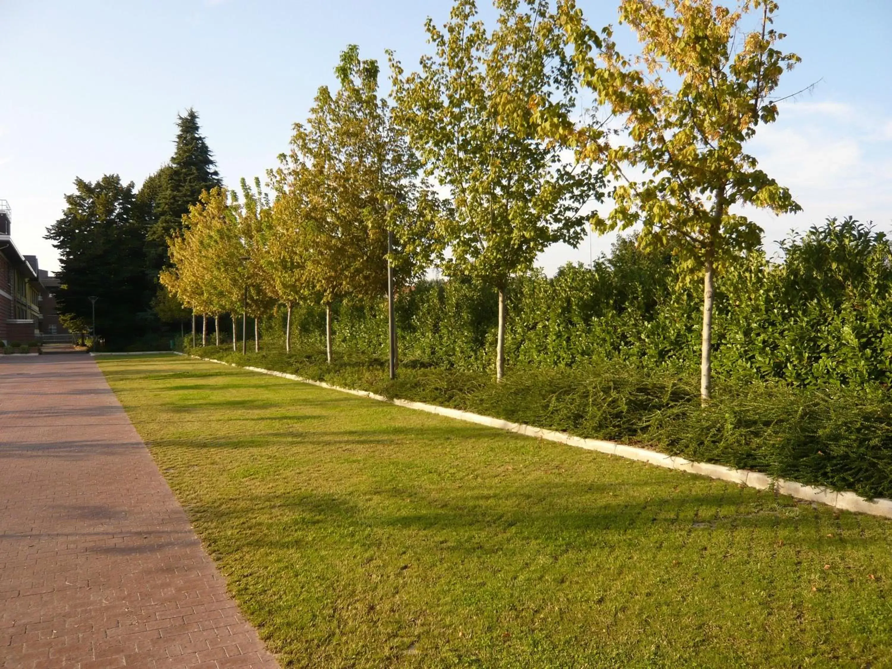 Area and facilities, Garden in Monica Hotel Fiera