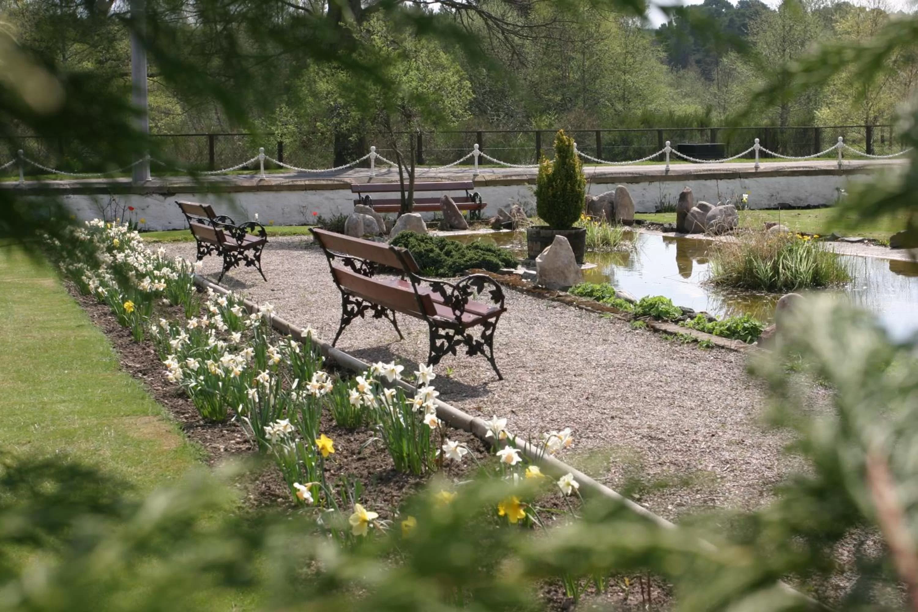 Garden in Craiglynne Hotel