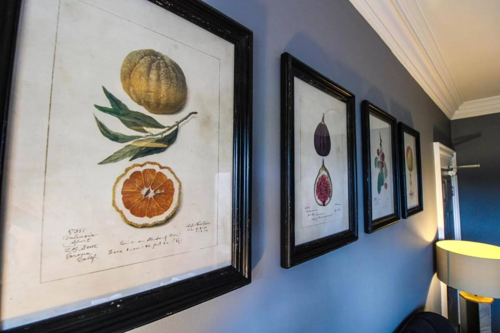 Three Horseshoes Leamside