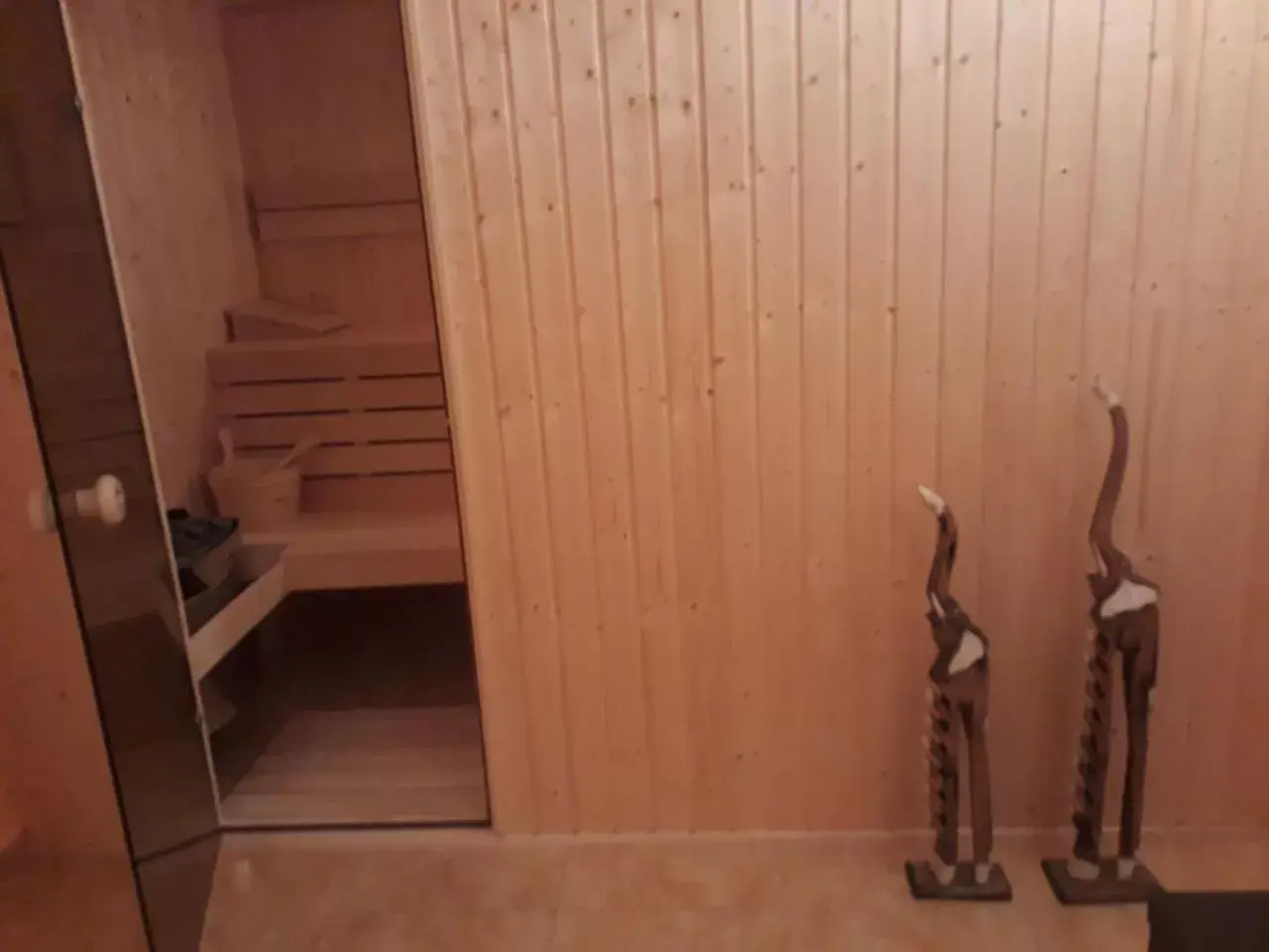 Sauna in Family Hotel Jemelly