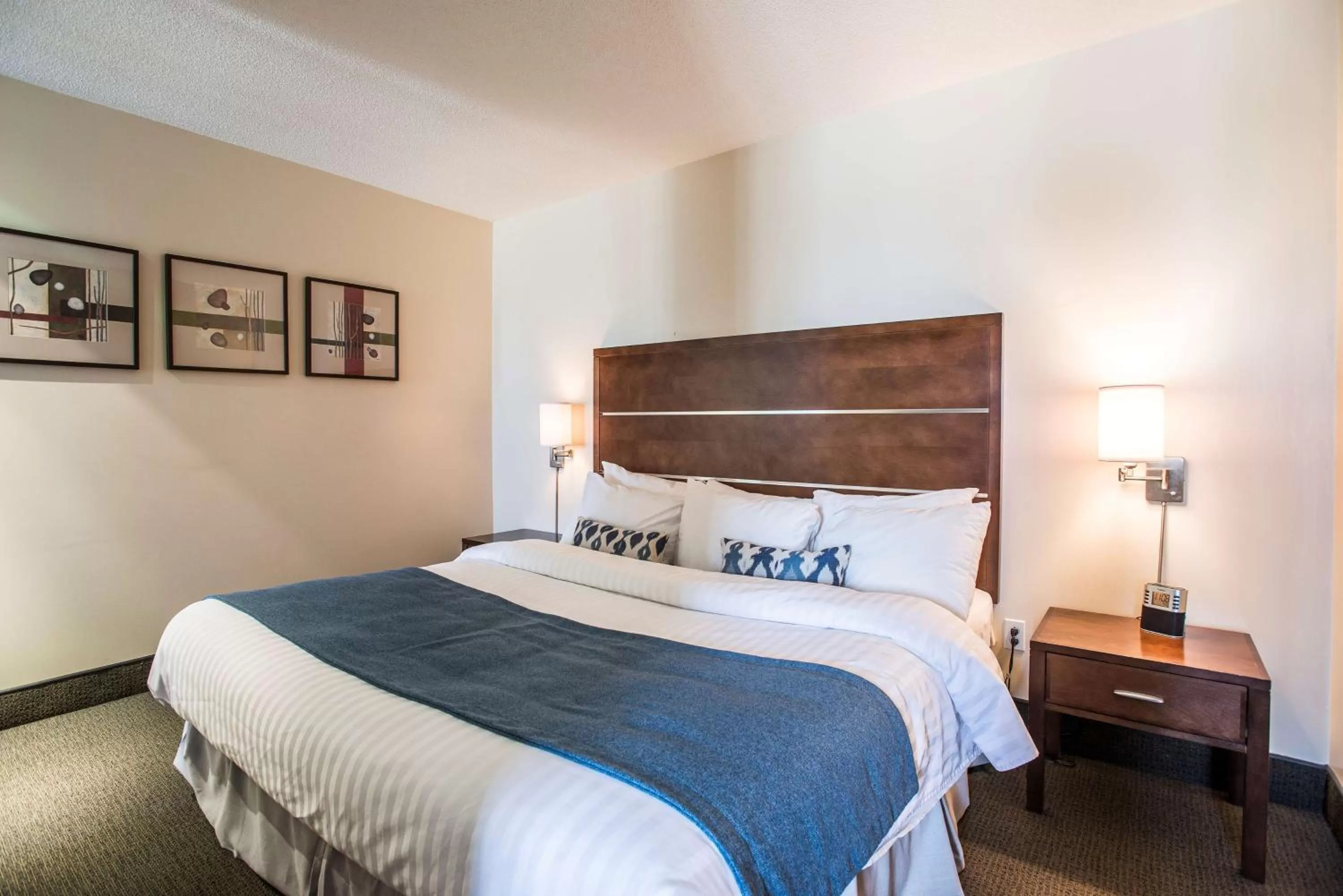 Photo of the whole room, Bed in Hôtel Albert par G5