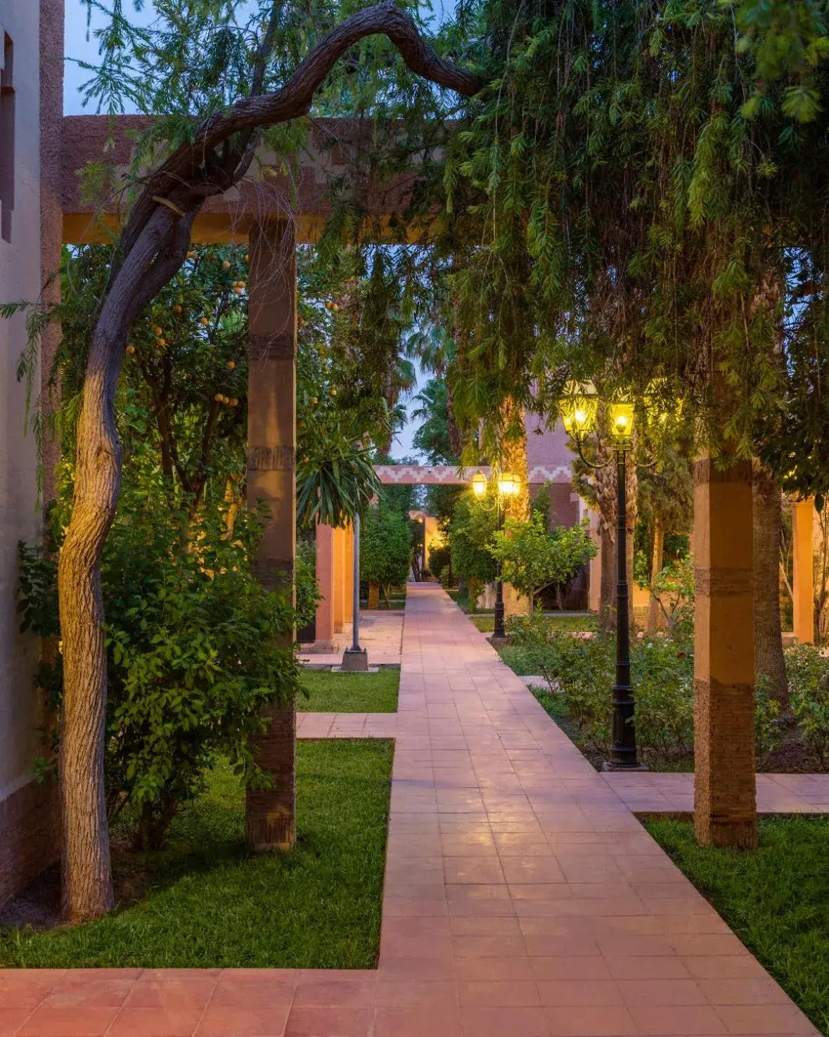 Garden in Berbère Palace