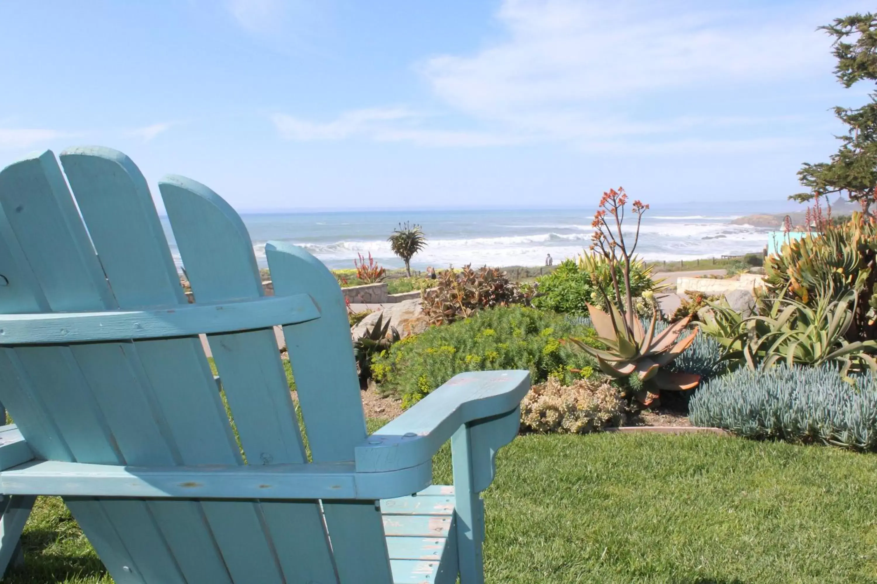 Garden view in Cambria Shores Inn