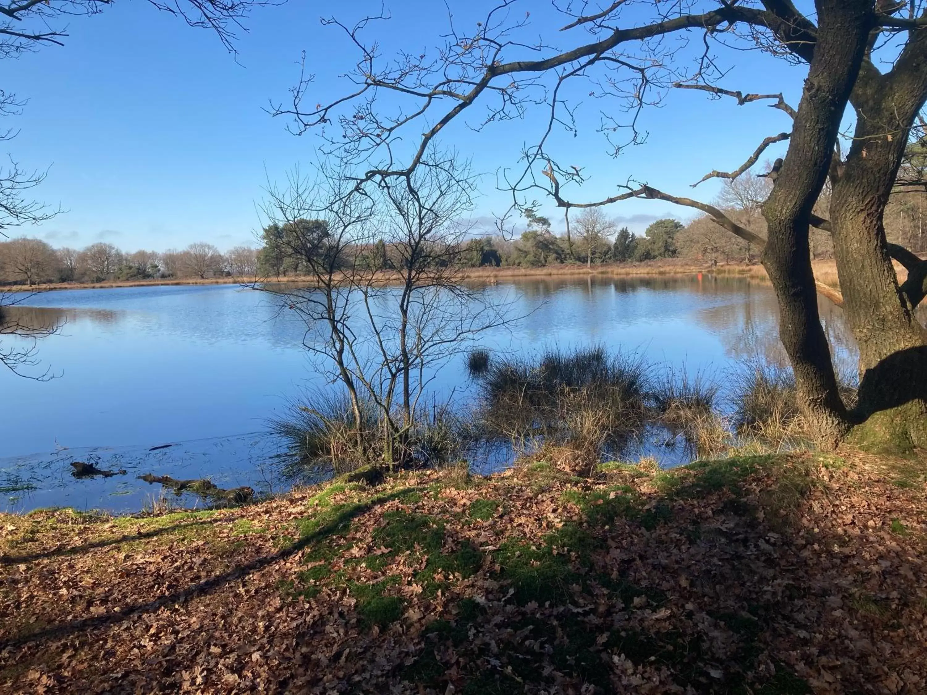 Lake View in Bed & Breakfast Beilerhorst