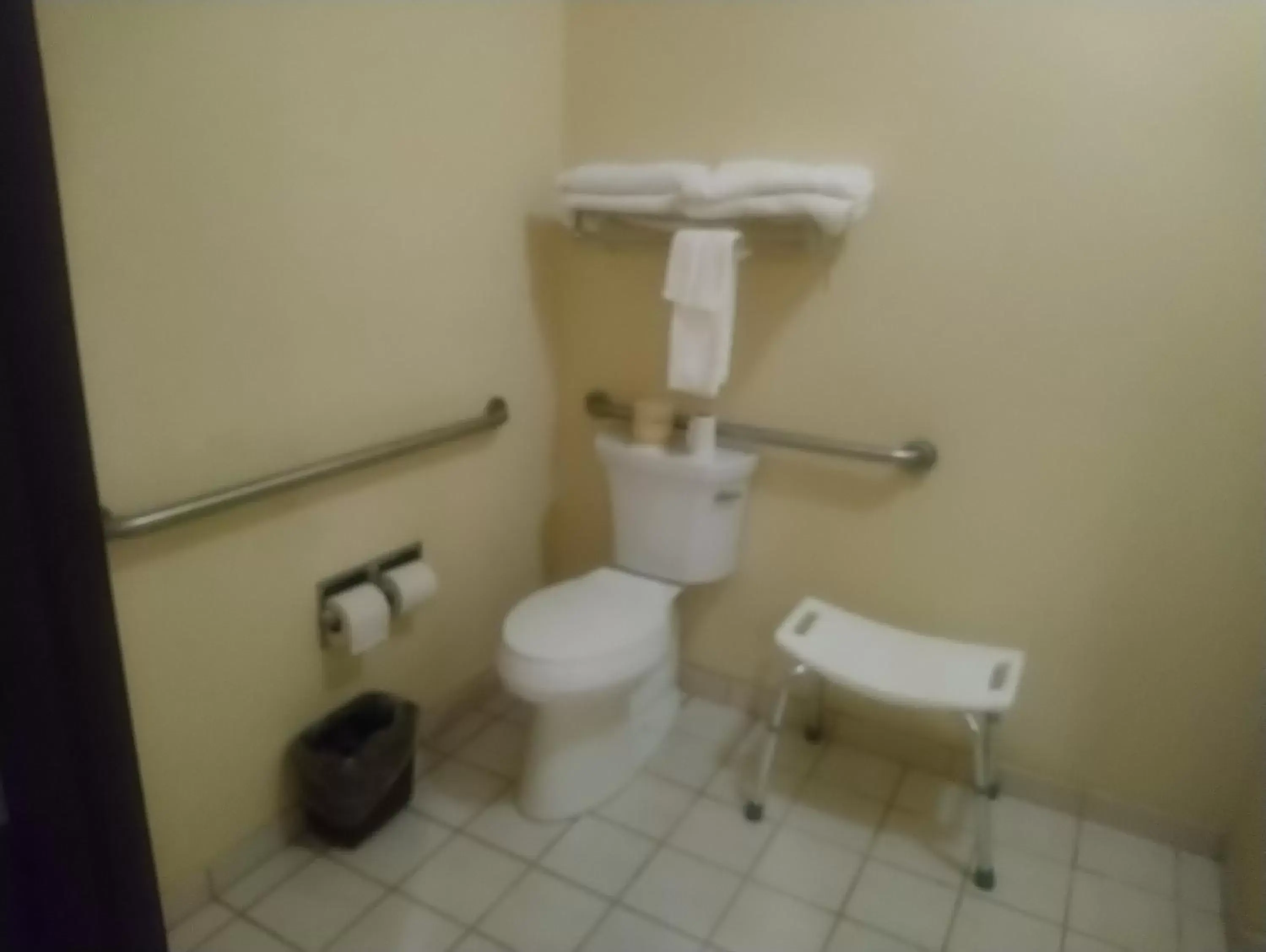 Toilet, Bathroom in Geneva Motel Inn