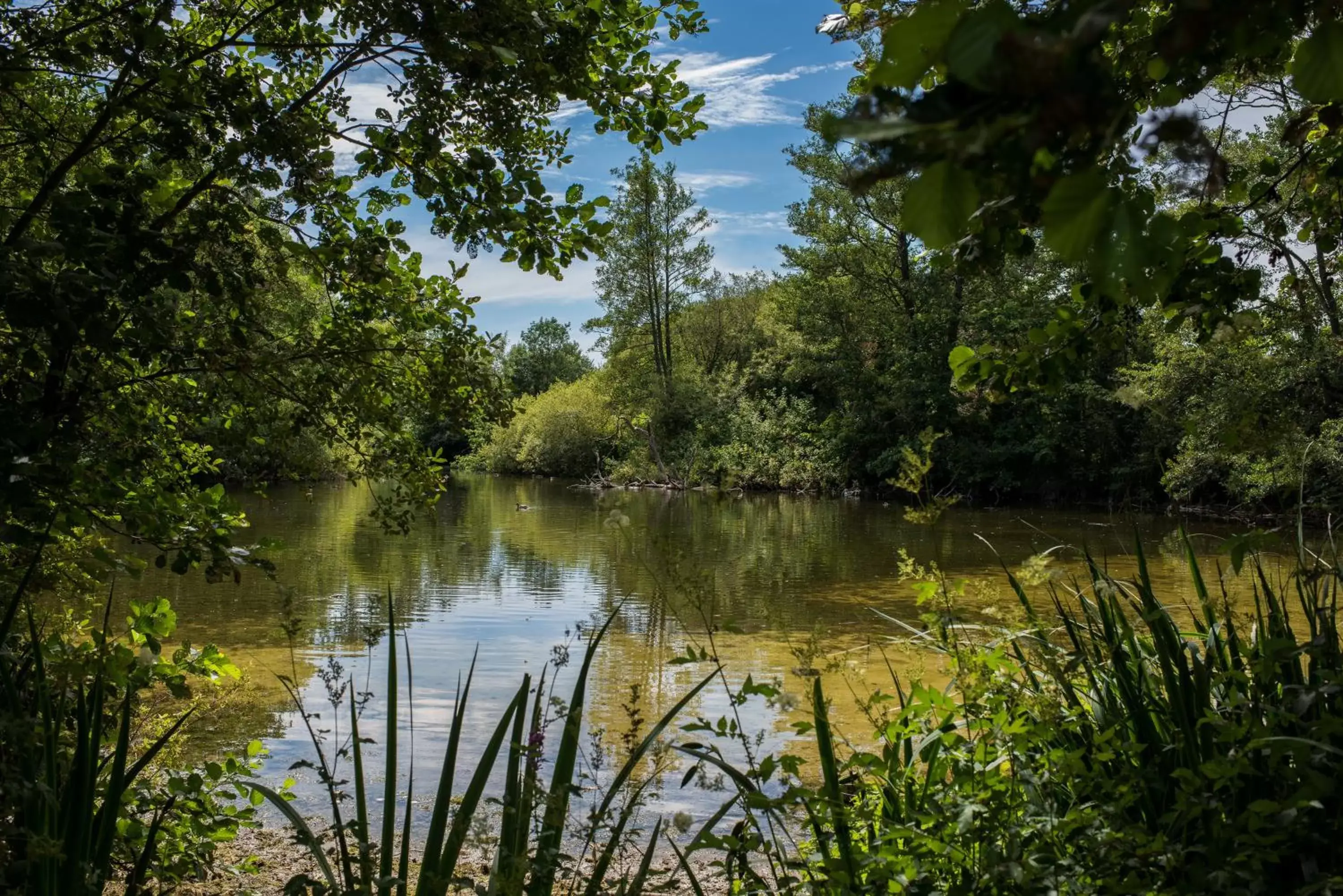 Natural landscape, Lake View in Norton Park Hotel, Spa & Manor House - Winchester