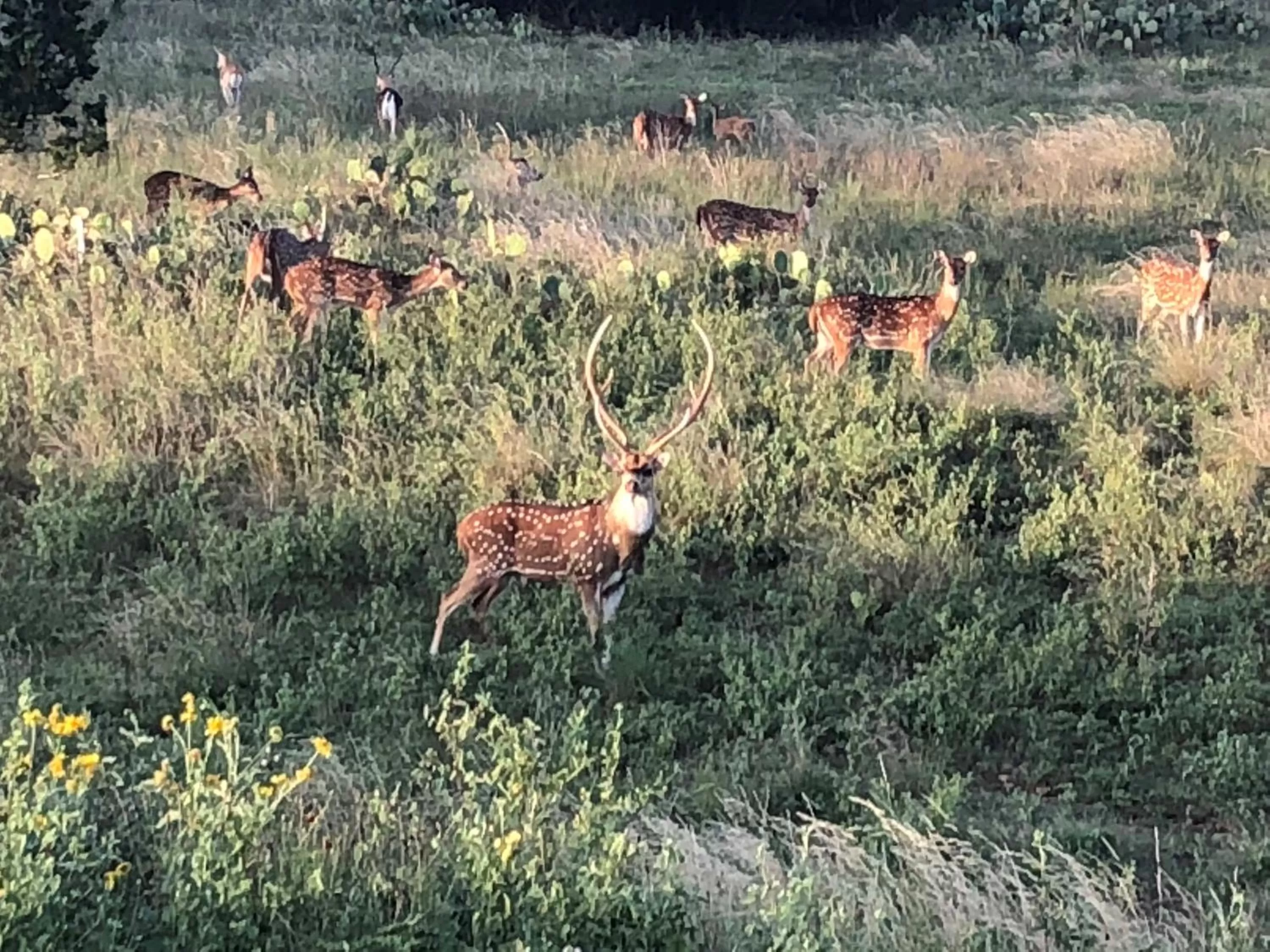 Flying L Ranch Resort & Golf Course