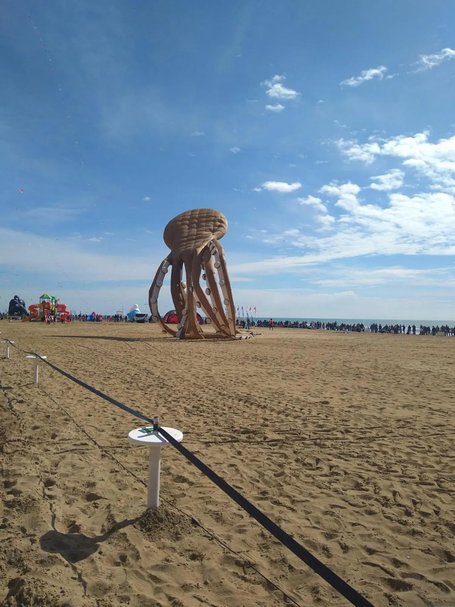 Beach in Hotel Terramare