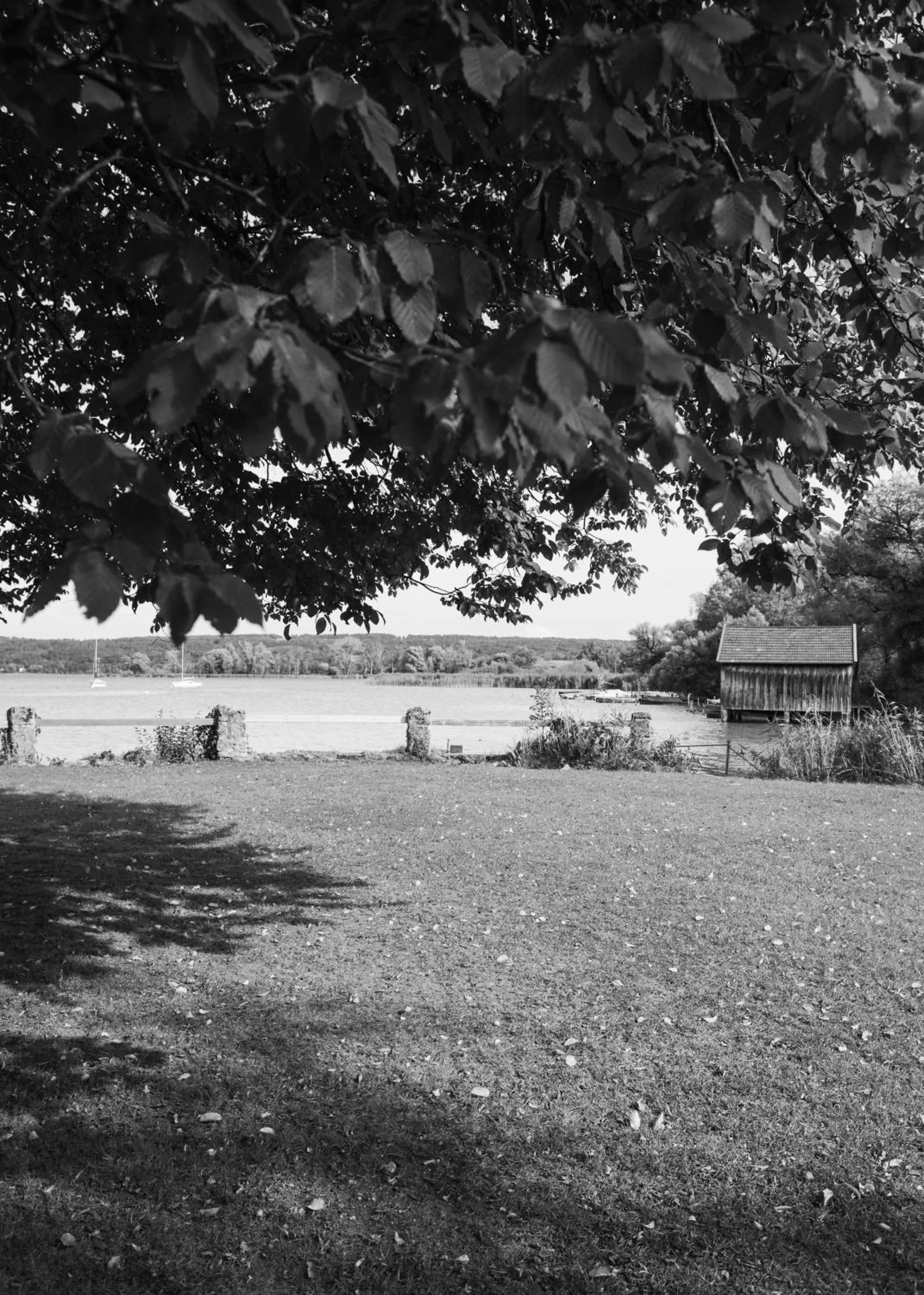 Garden in Strandhotel SüdSee Diessen am Ammersee