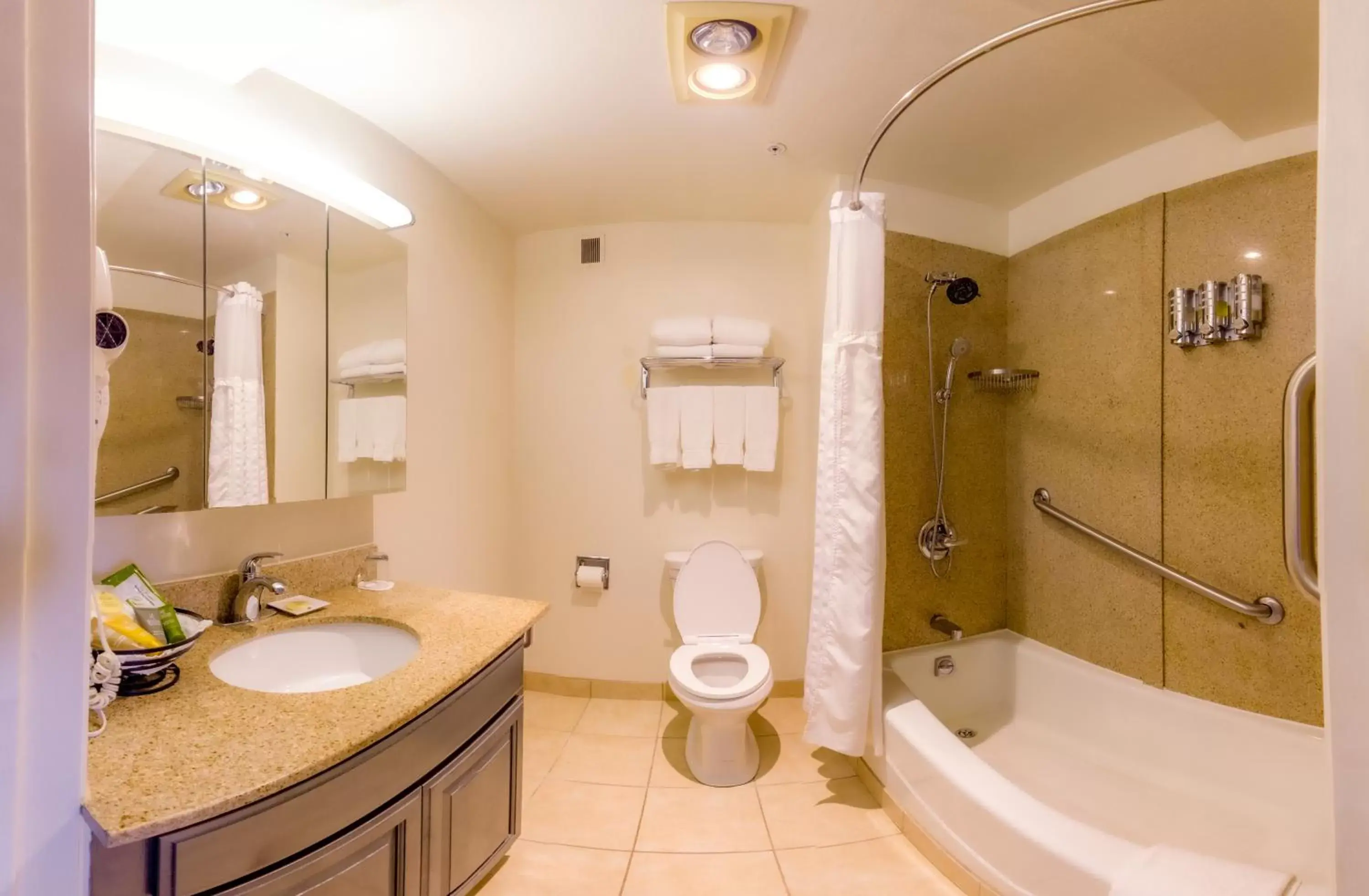 Shower, Bathroom in Buena Vista Motor Inn