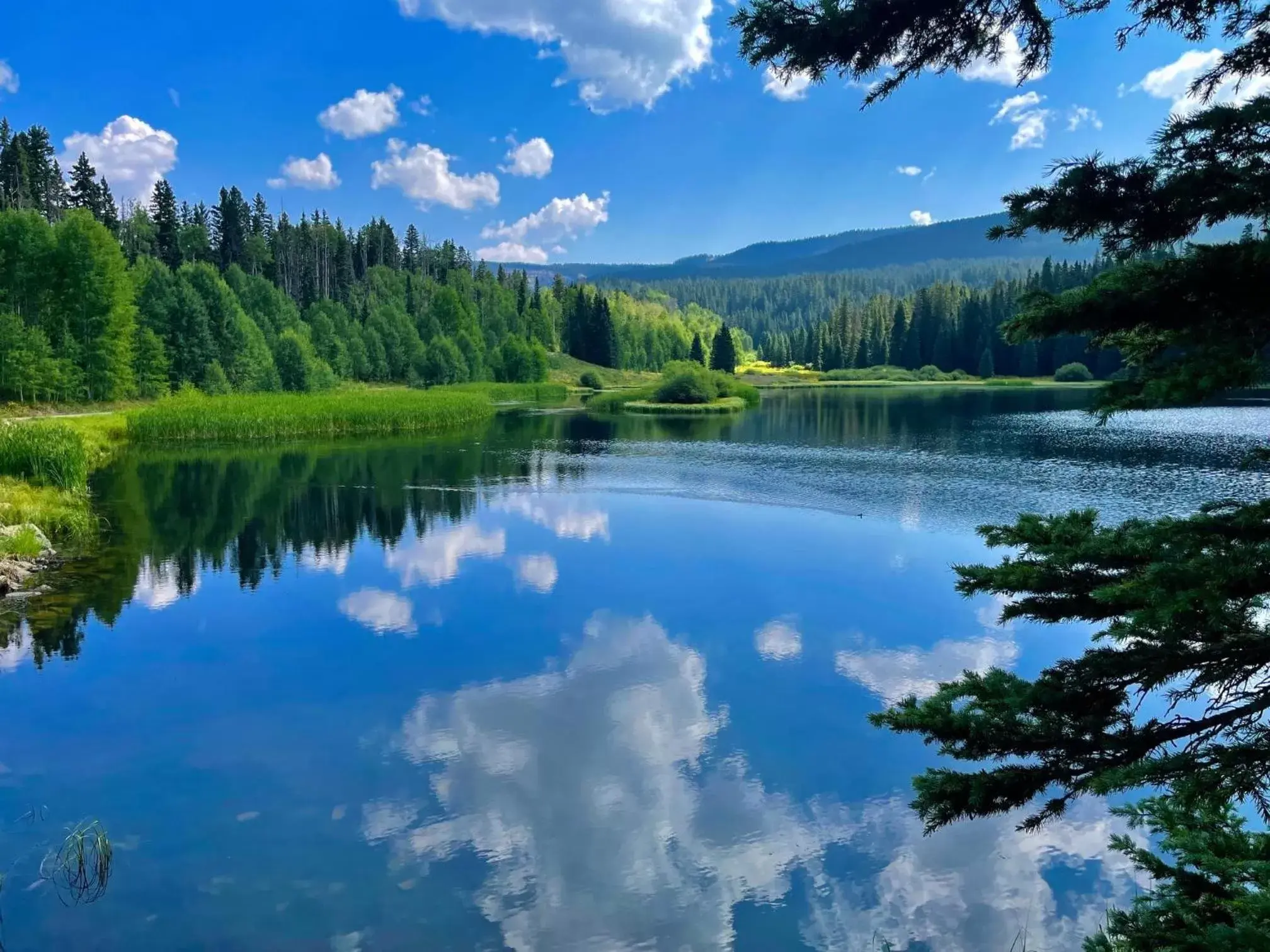 Lake view in JW Vallecito